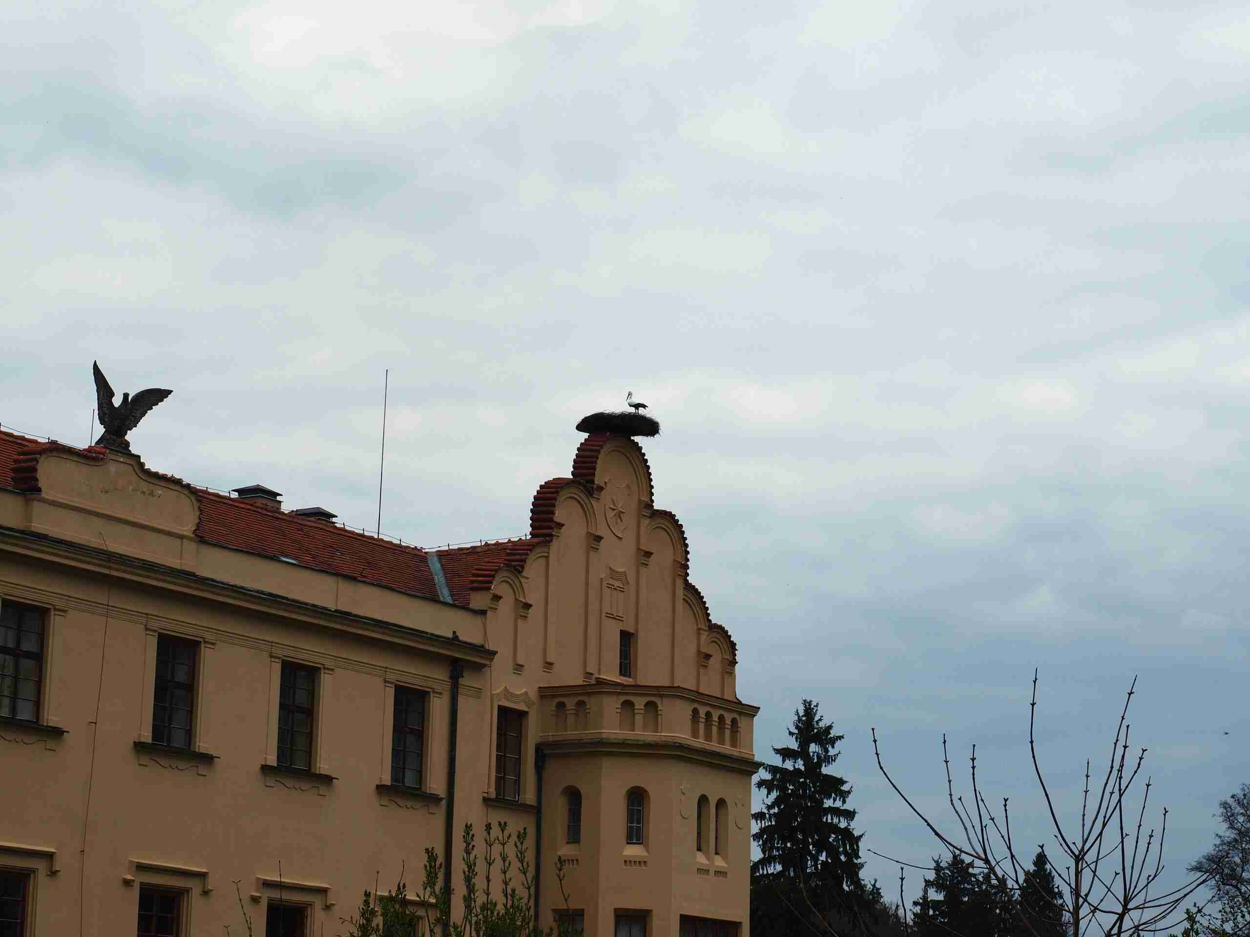 P1014332