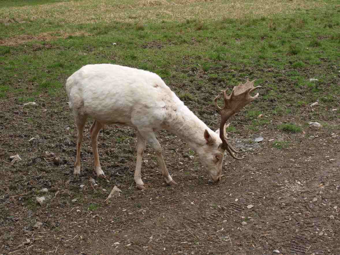 P1014343