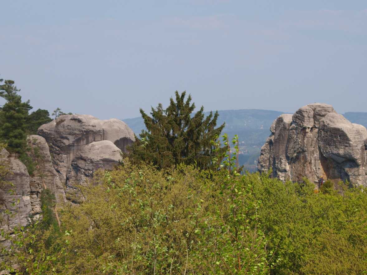P1014637