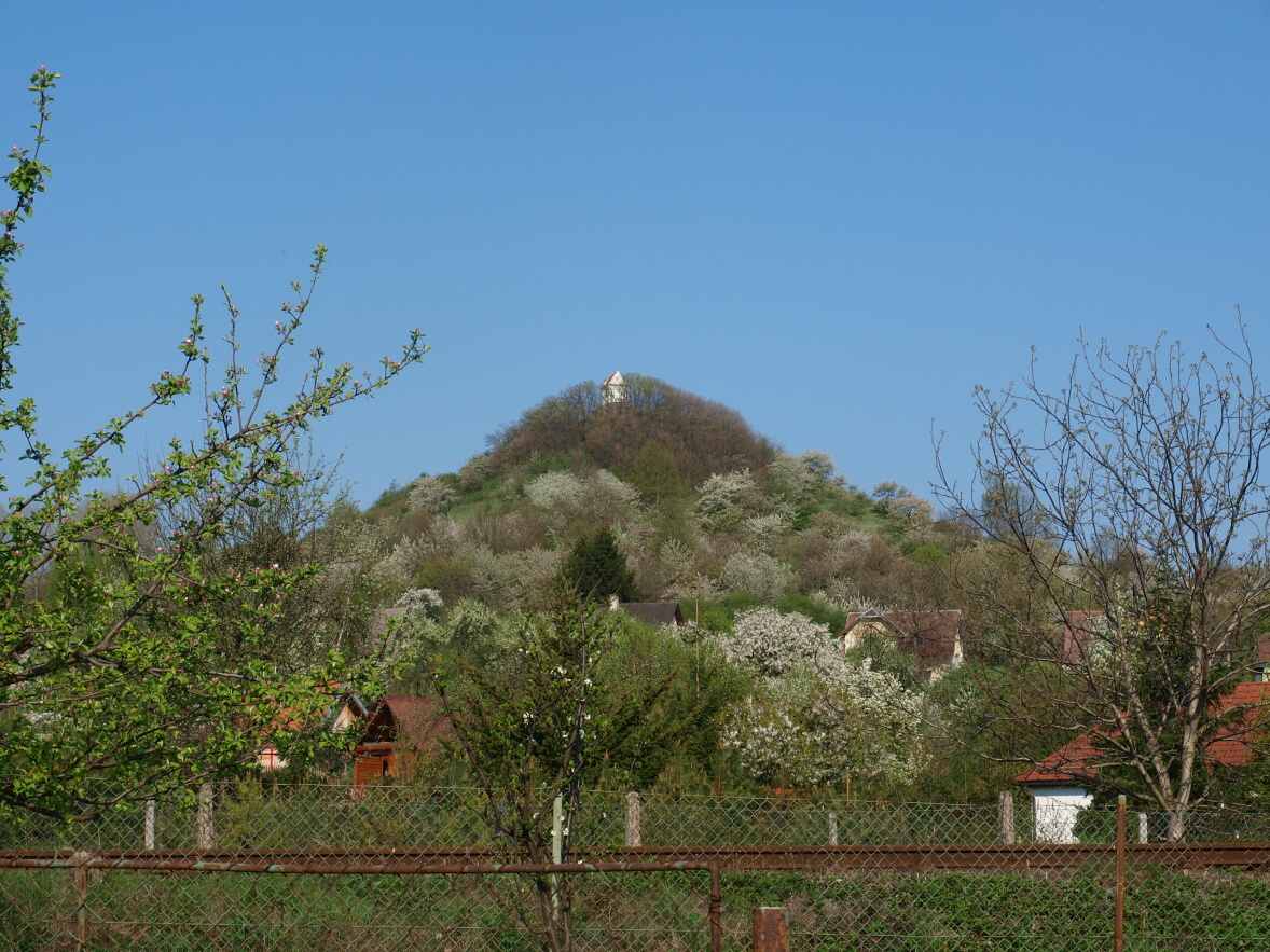 P1014537