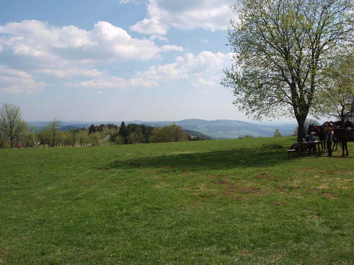 P1014833