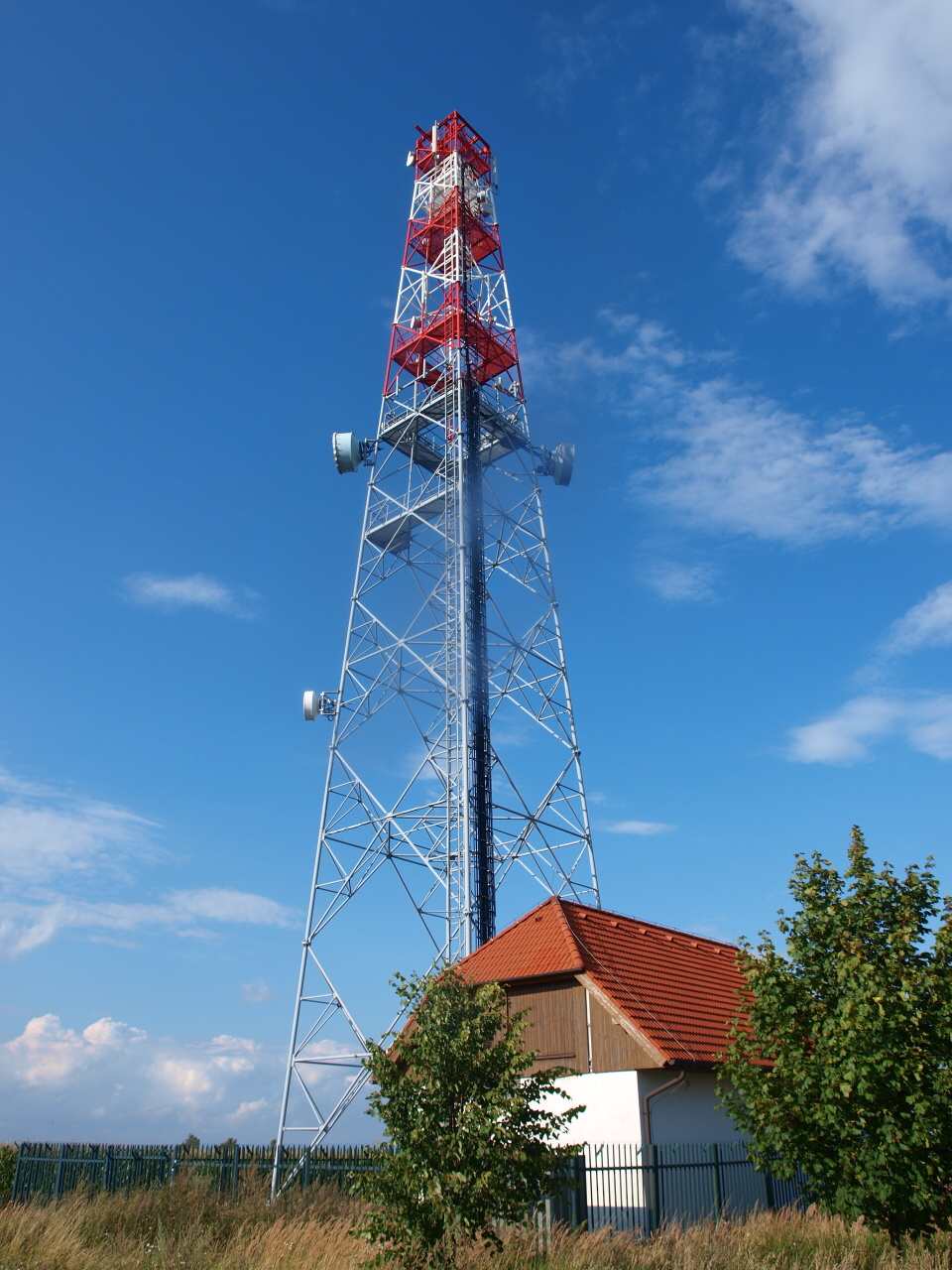 P8135918