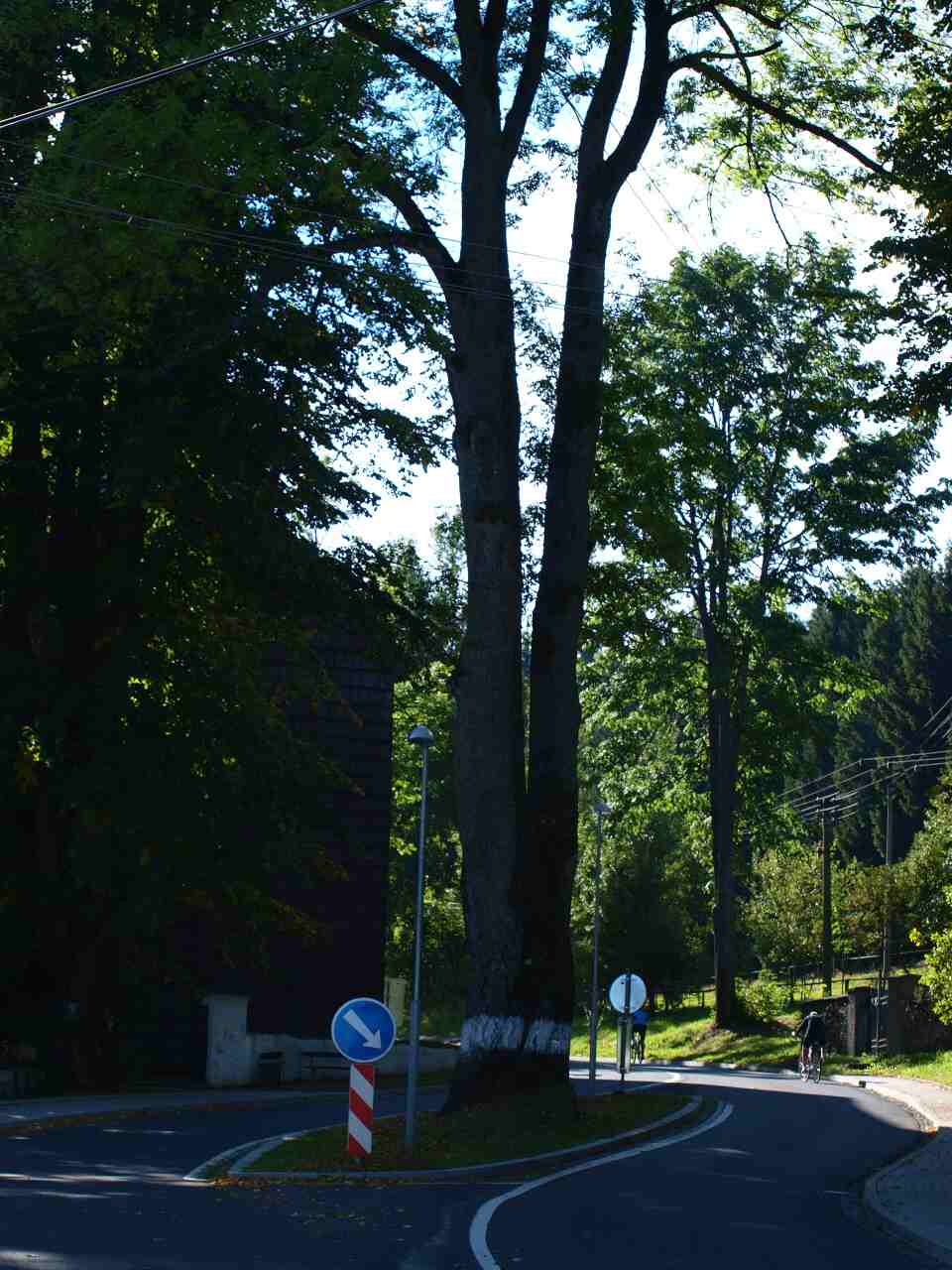 P9296192