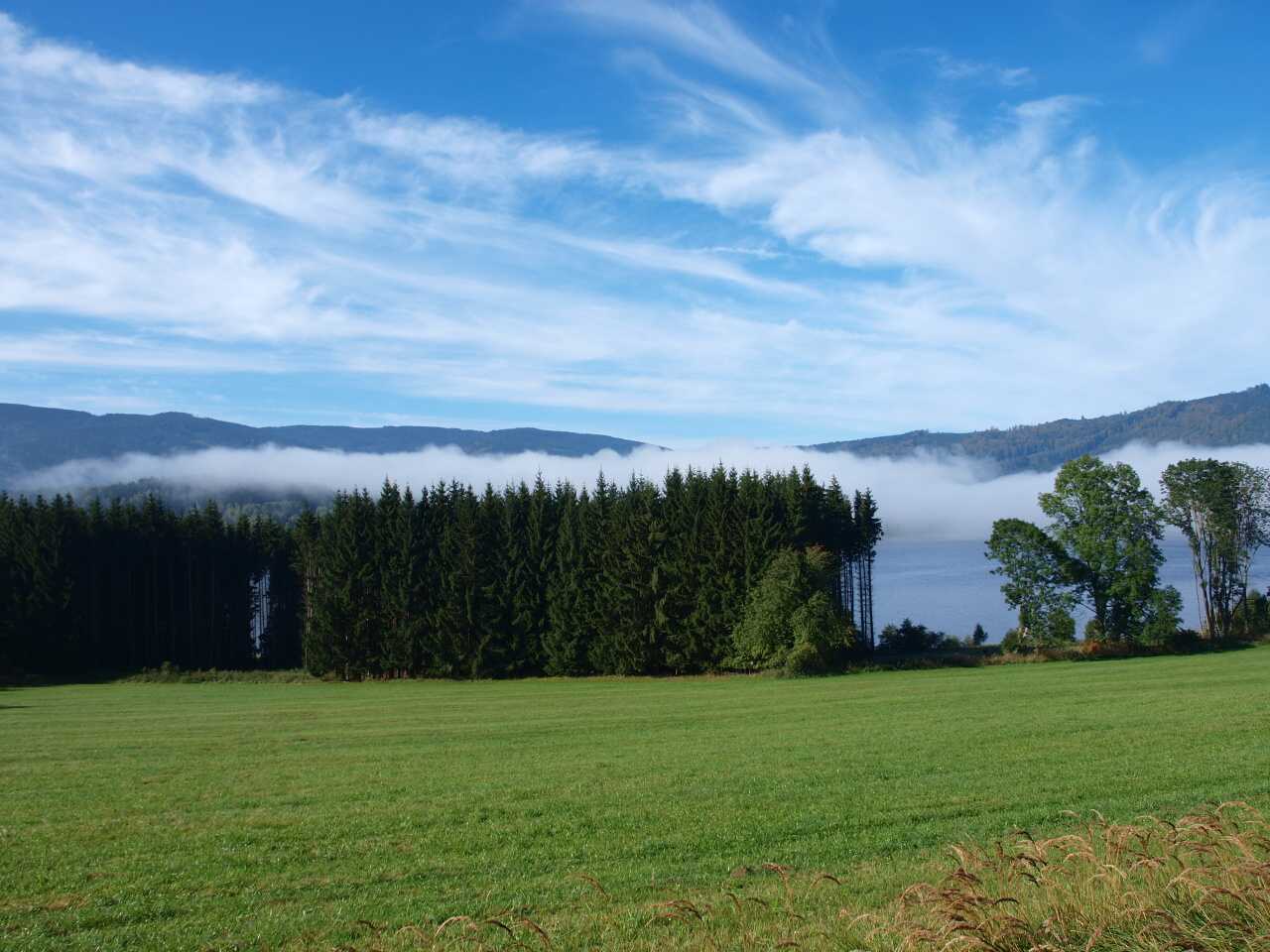 P9296205