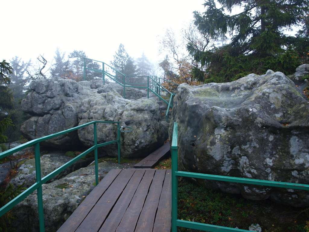 PA286754