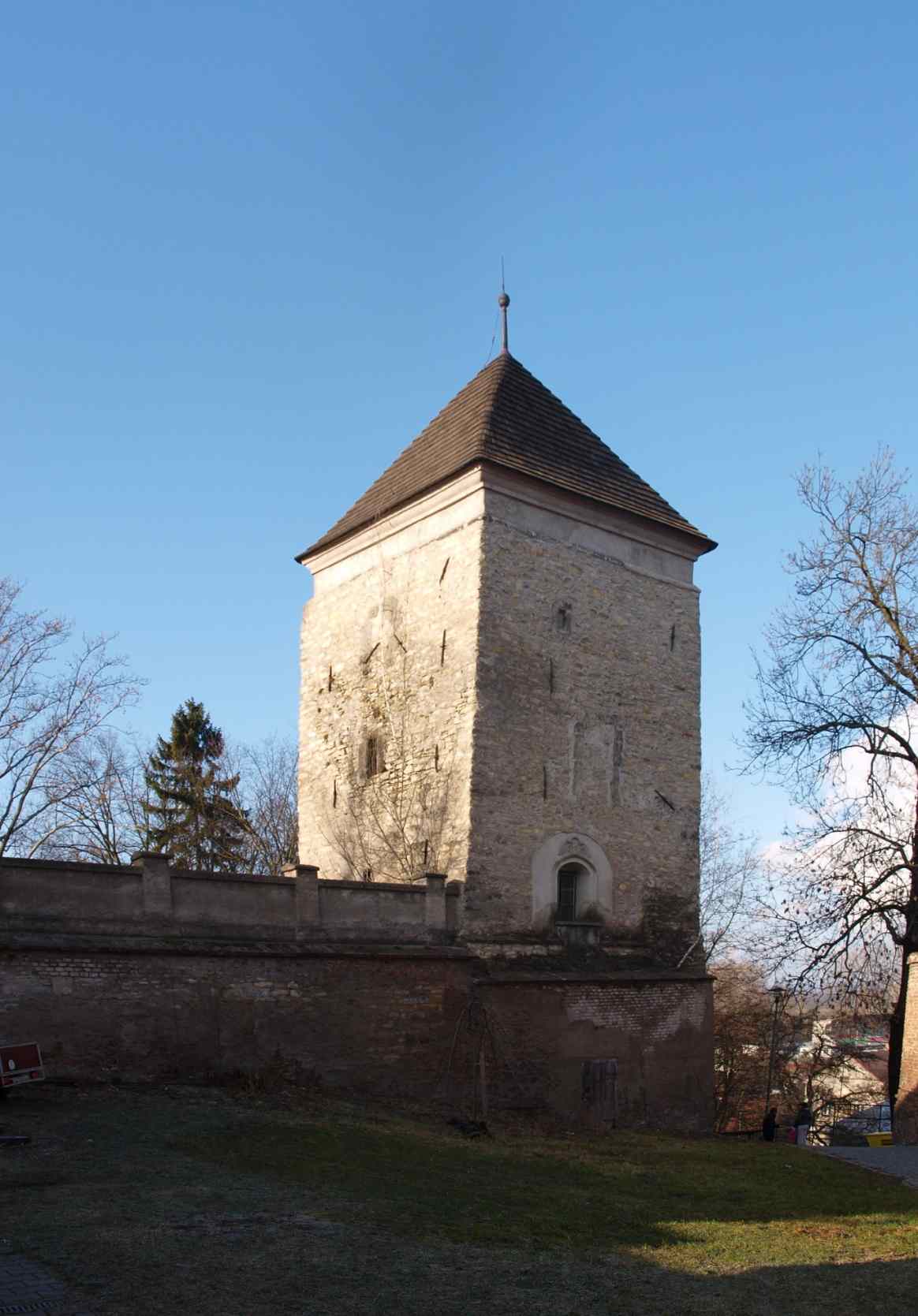 P1256951