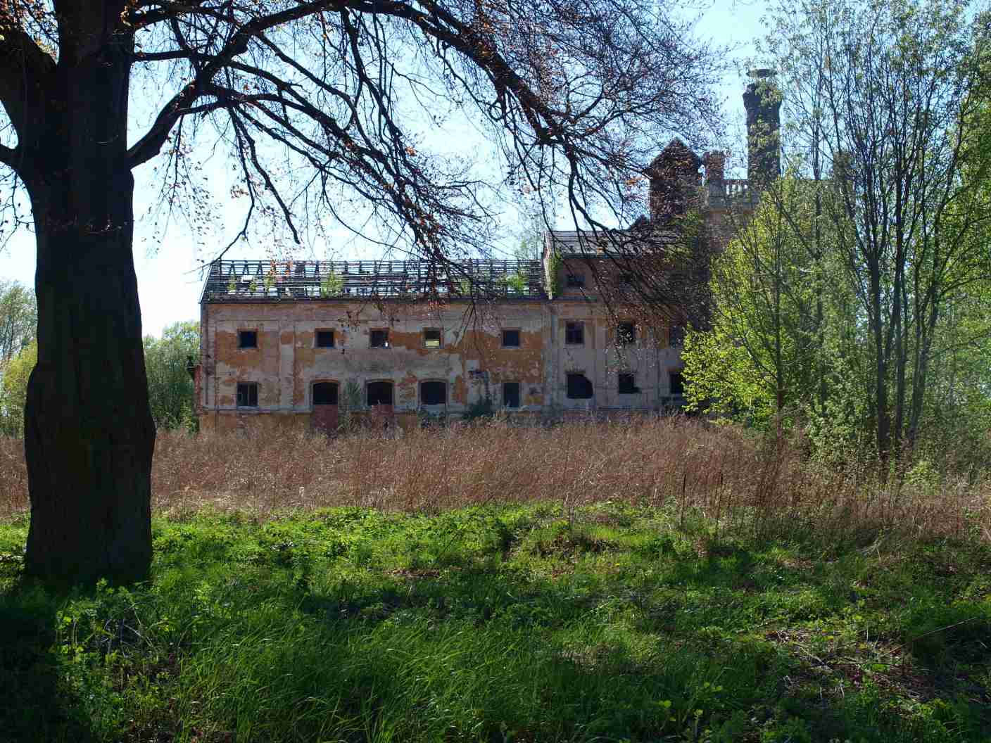 P4287237