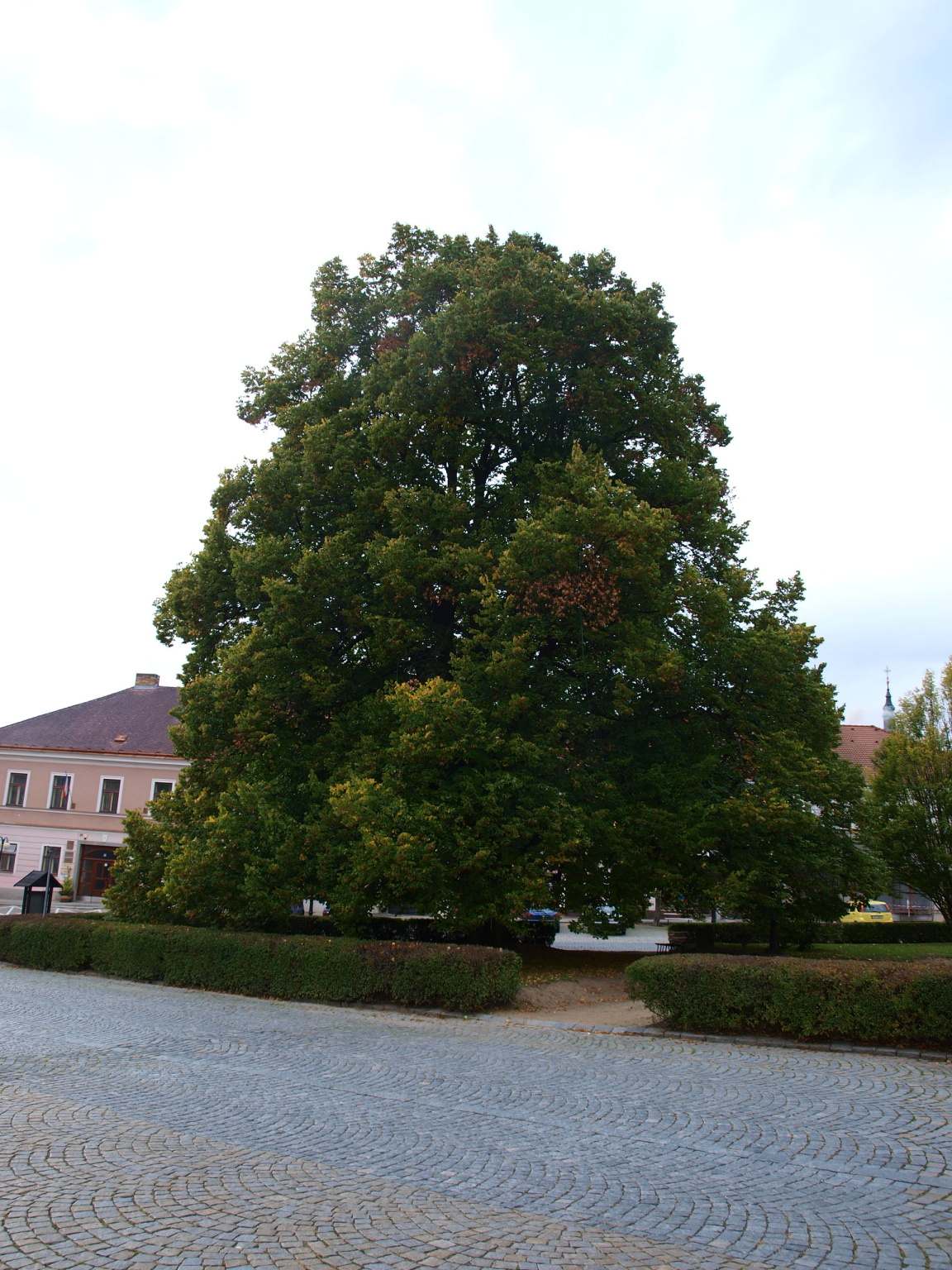 P9278866