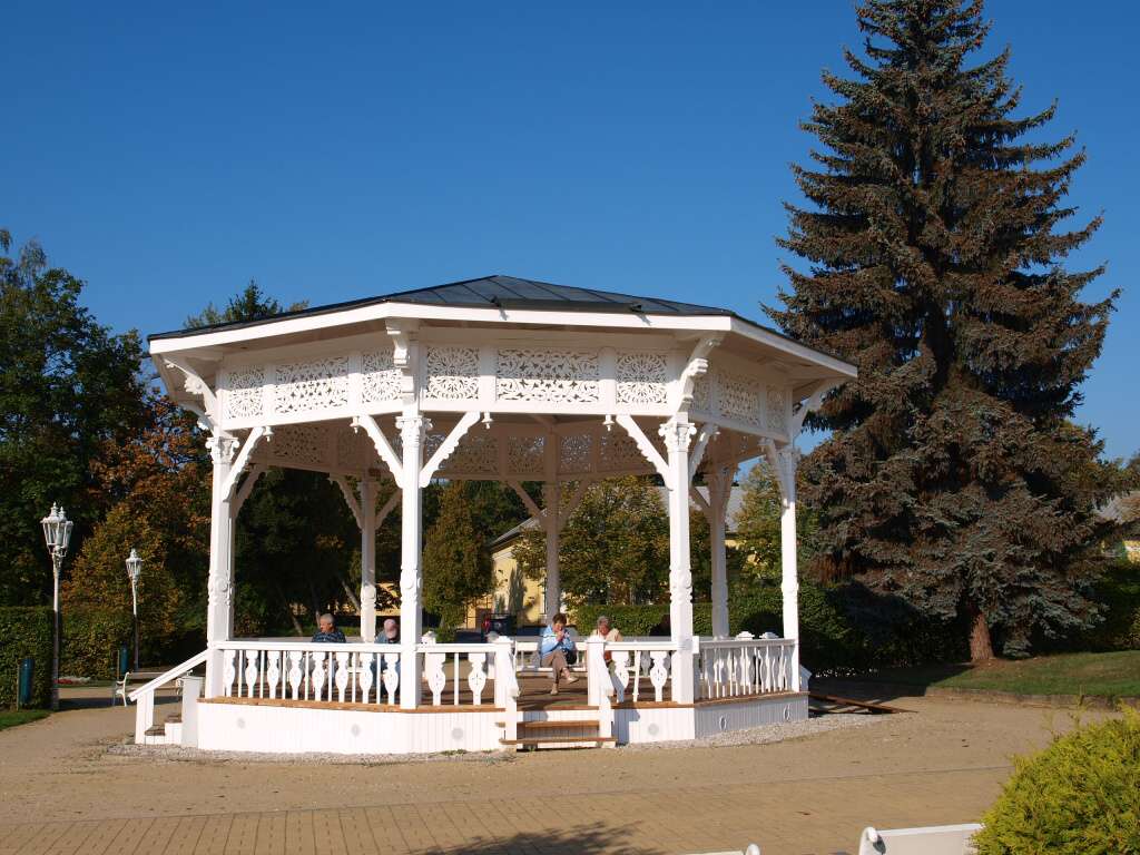 p1011164