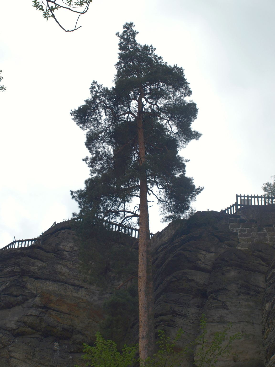 P5060225