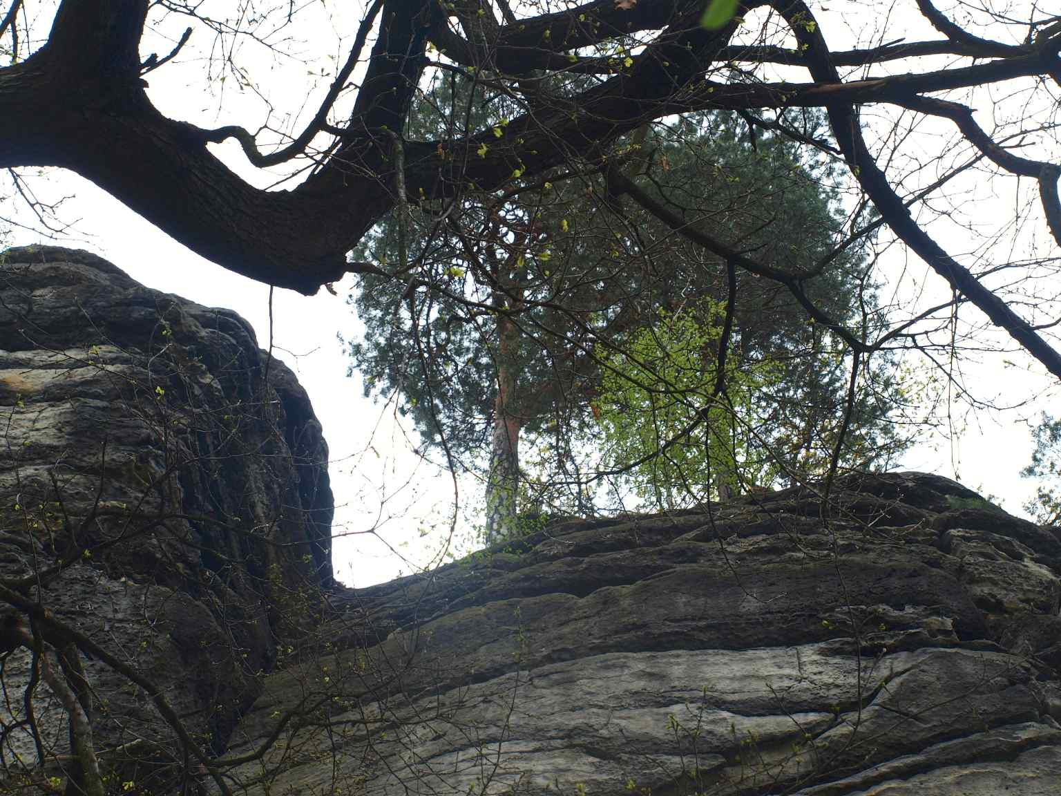 P5060227