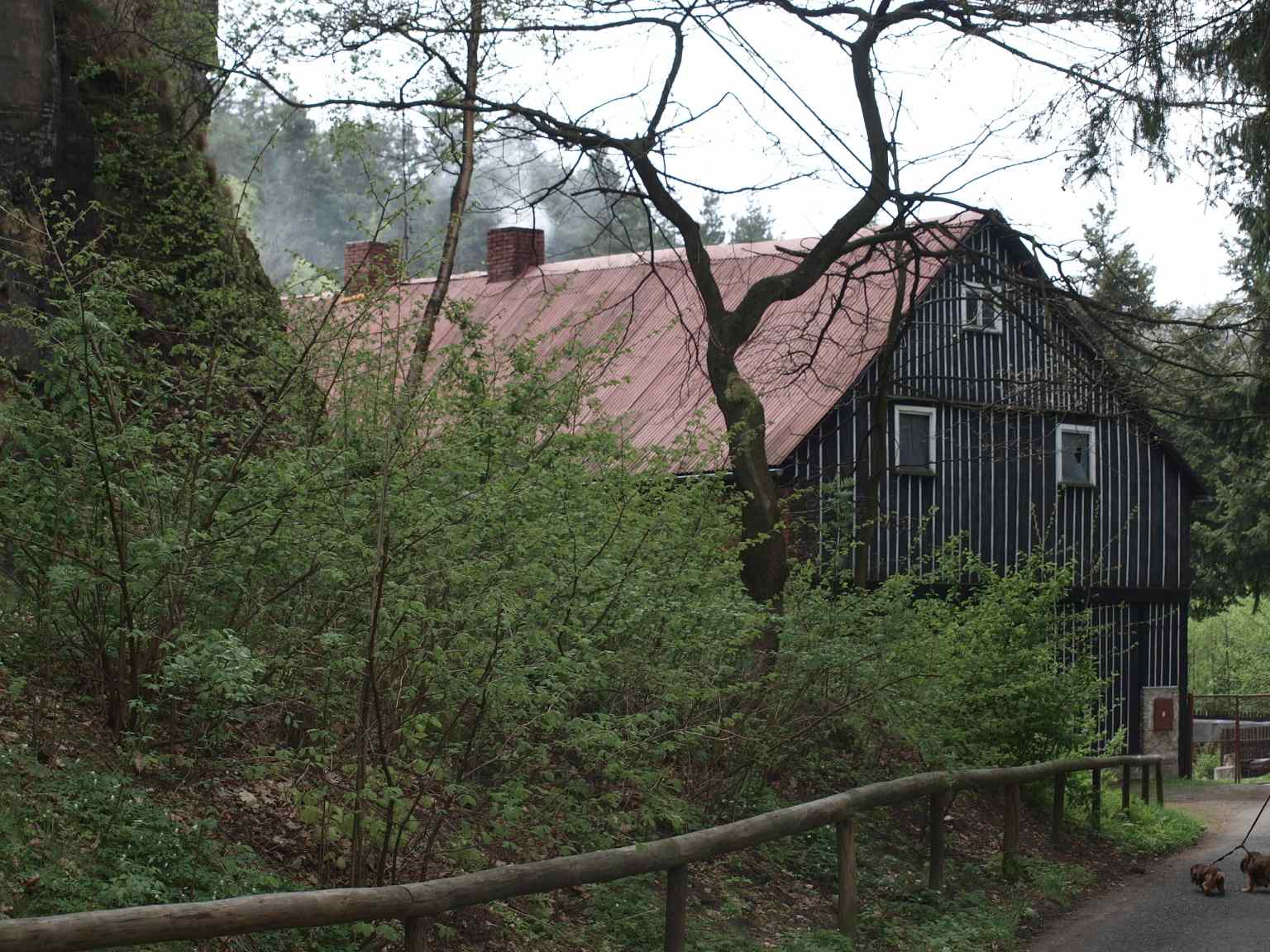 P5060229