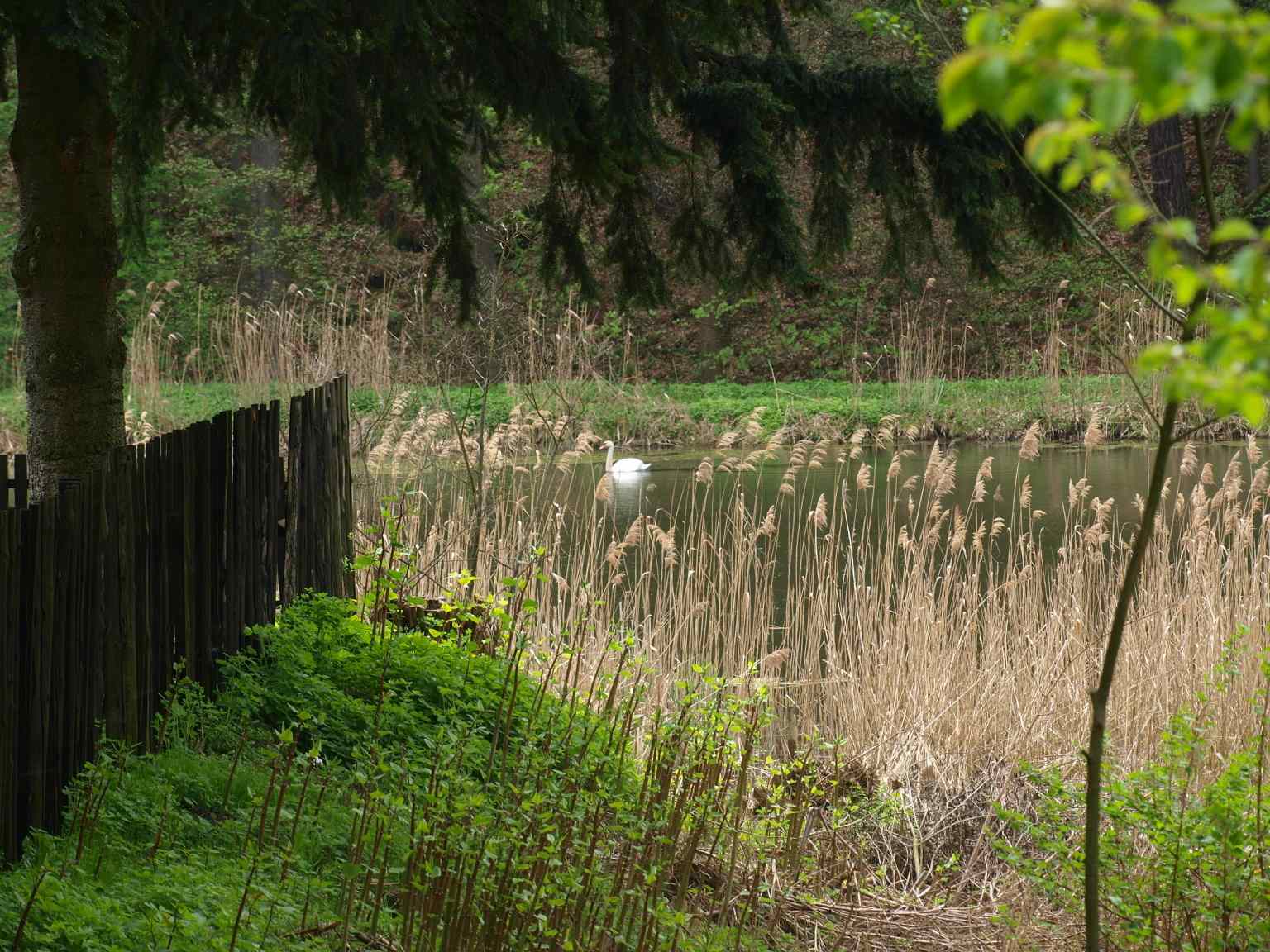 P5060231
