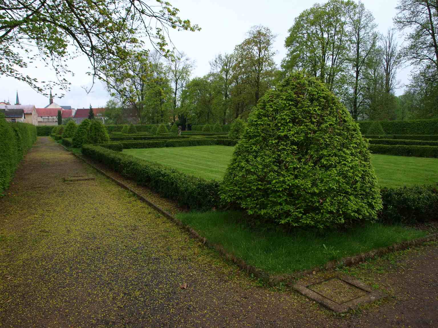 P5060242