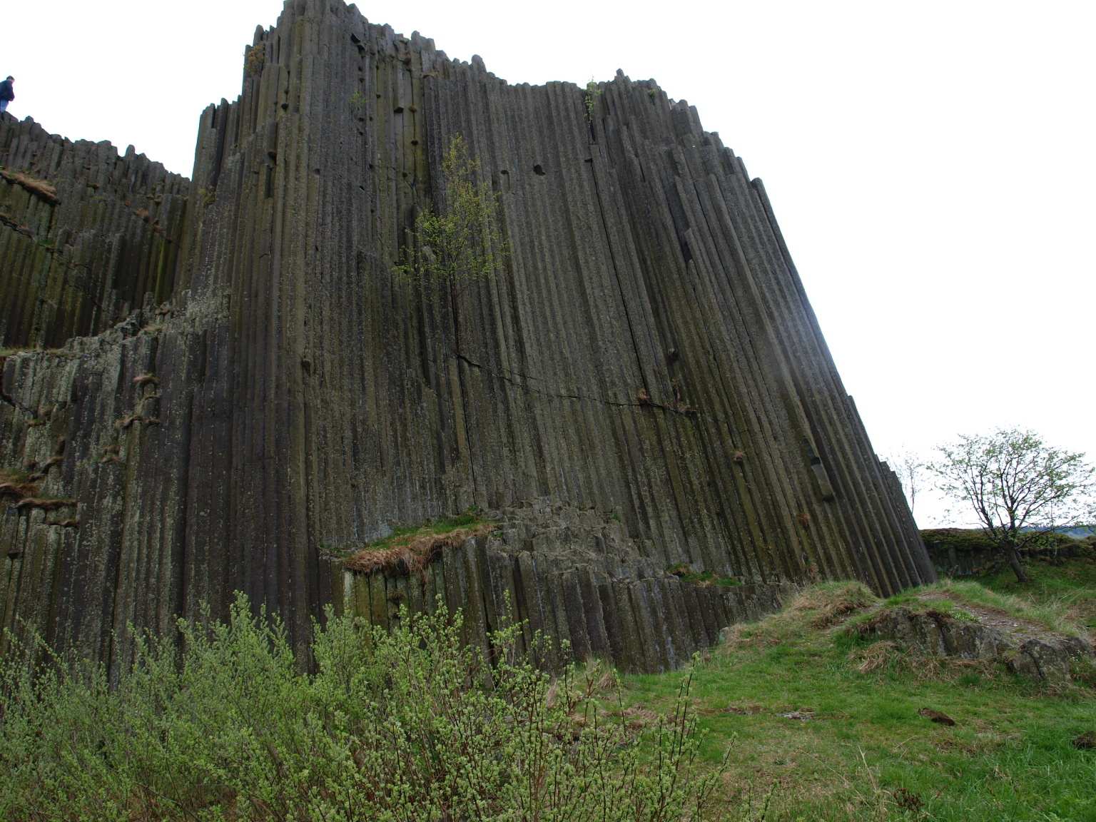 P5060174