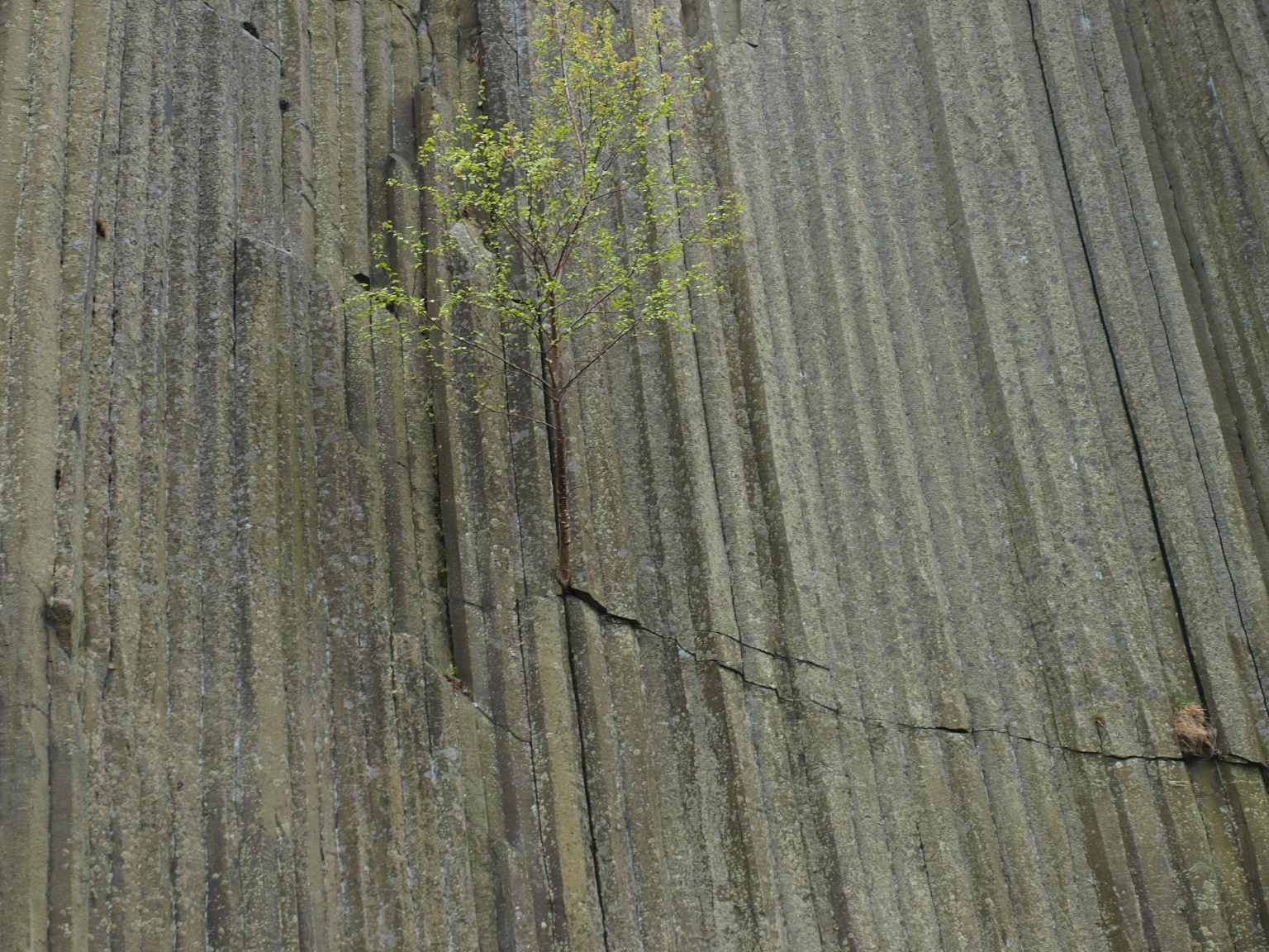 P5060175