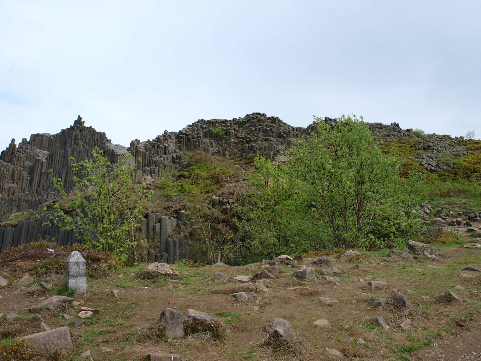 P5060184