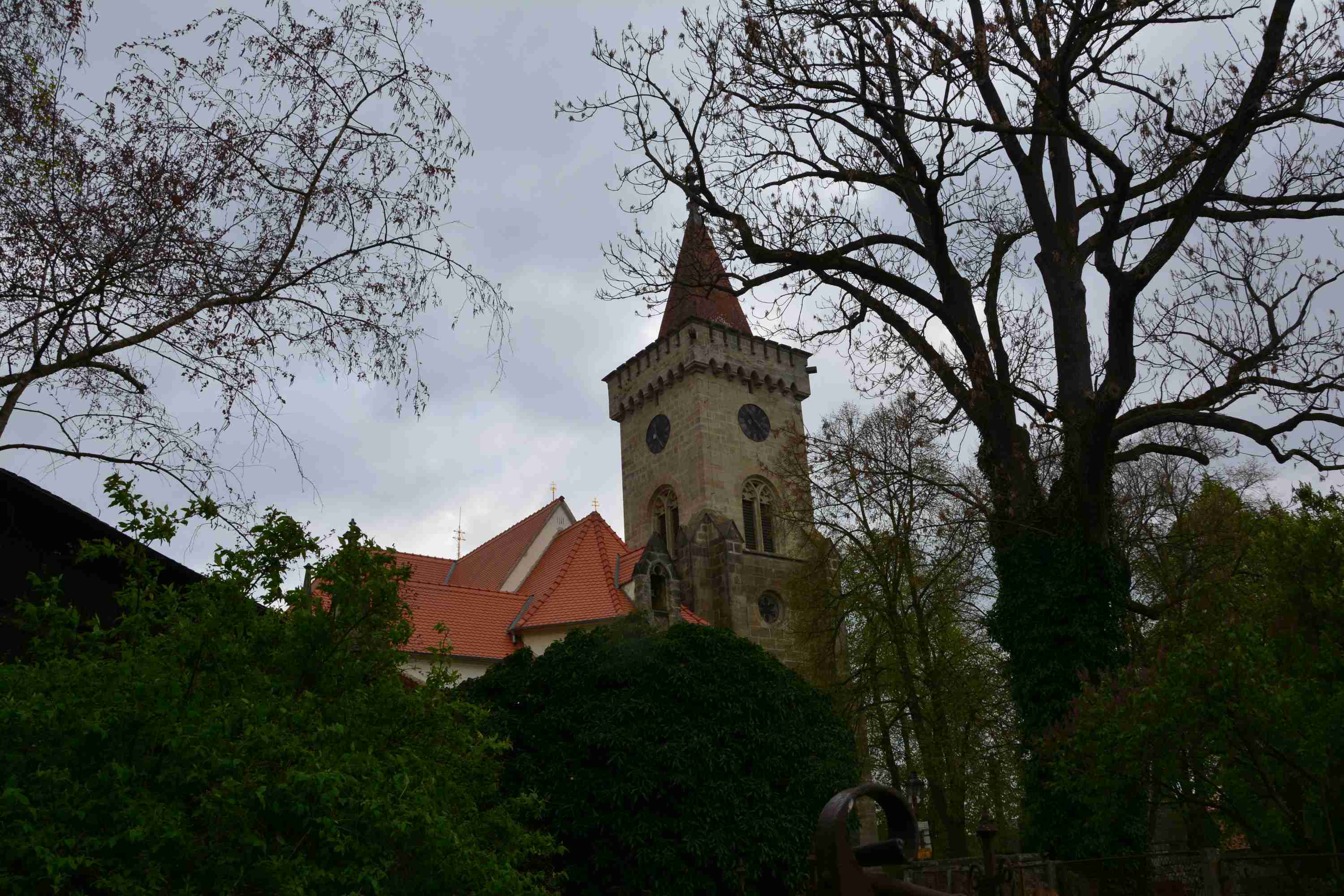DSC_0396