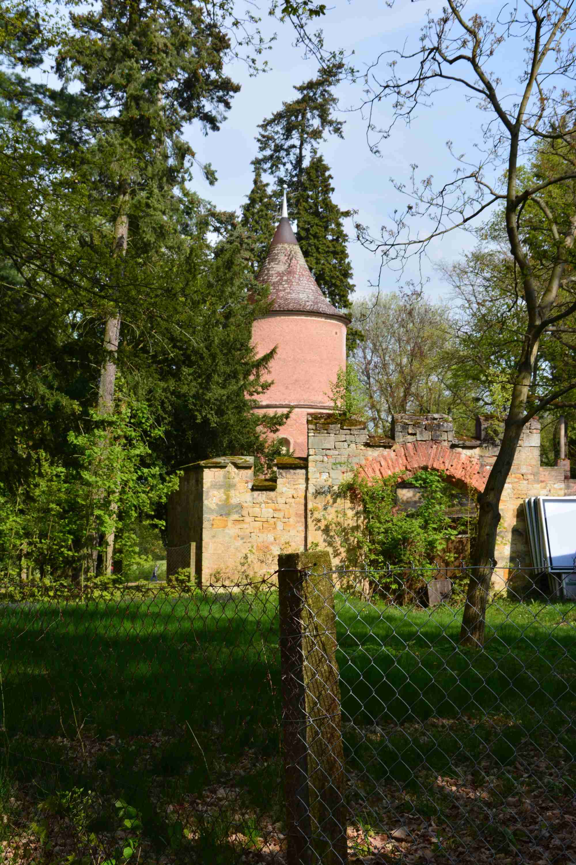 DSC_0283