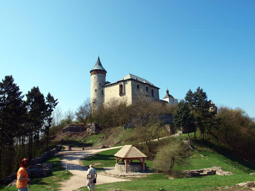P1010046