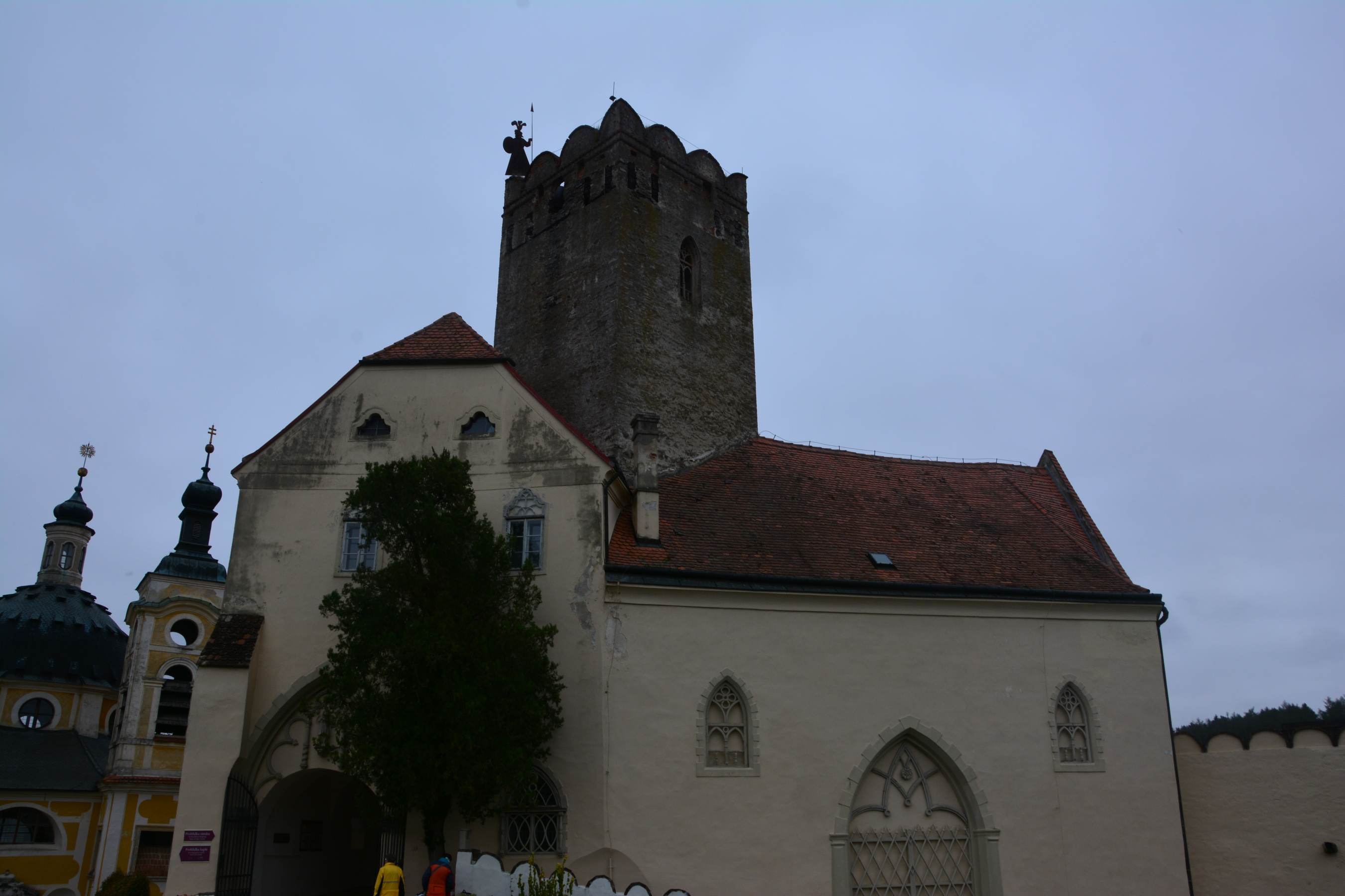 DSC_1796
