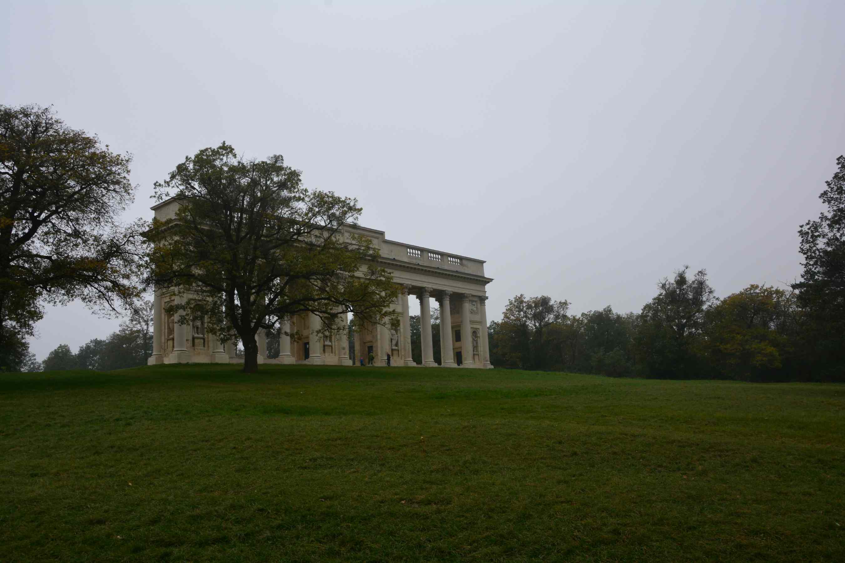 DSC_1630