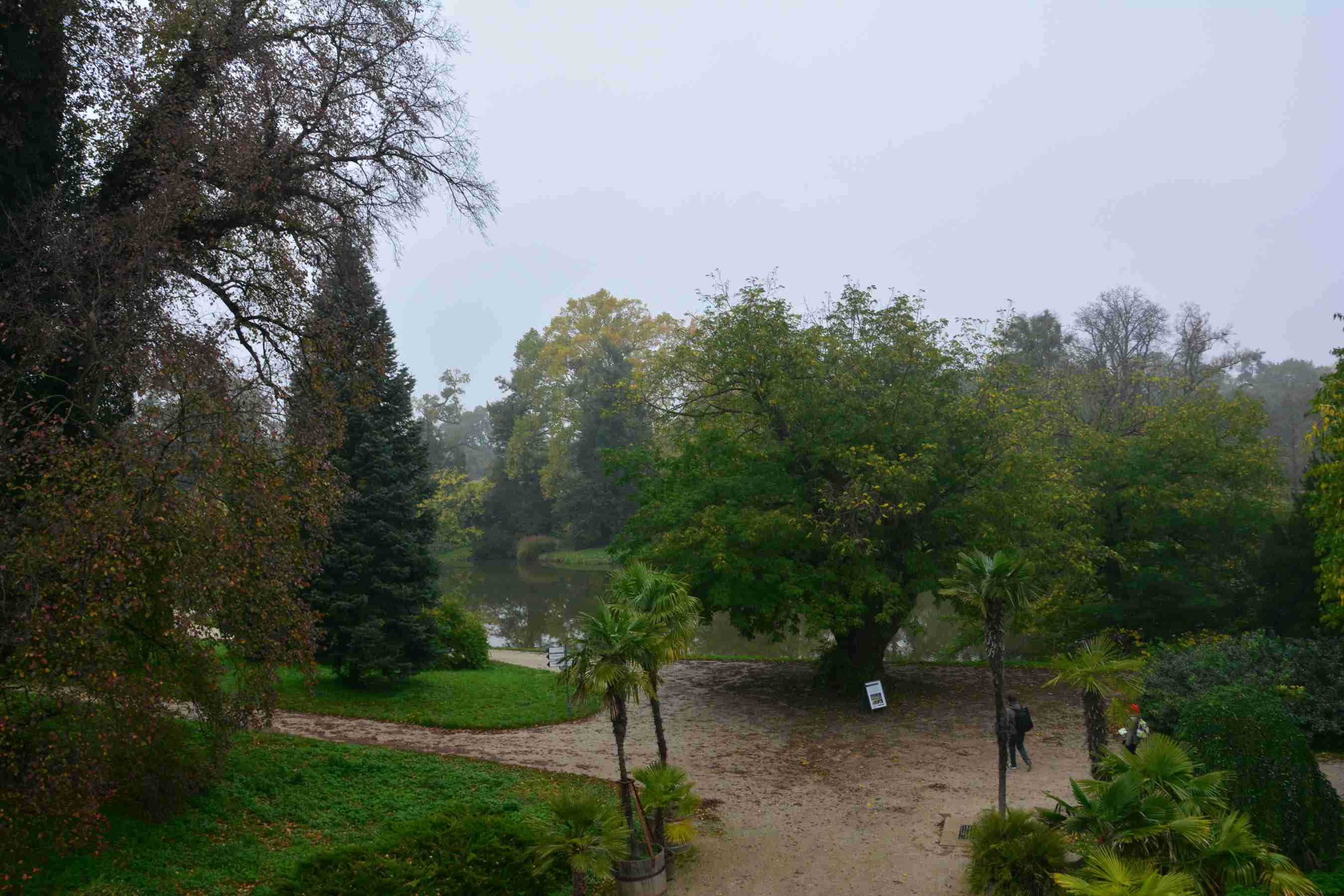 DSC_1532