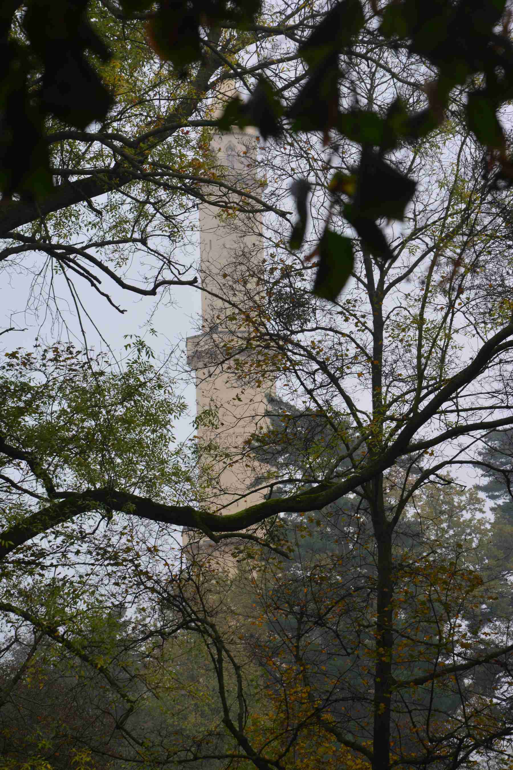 DSC_1585