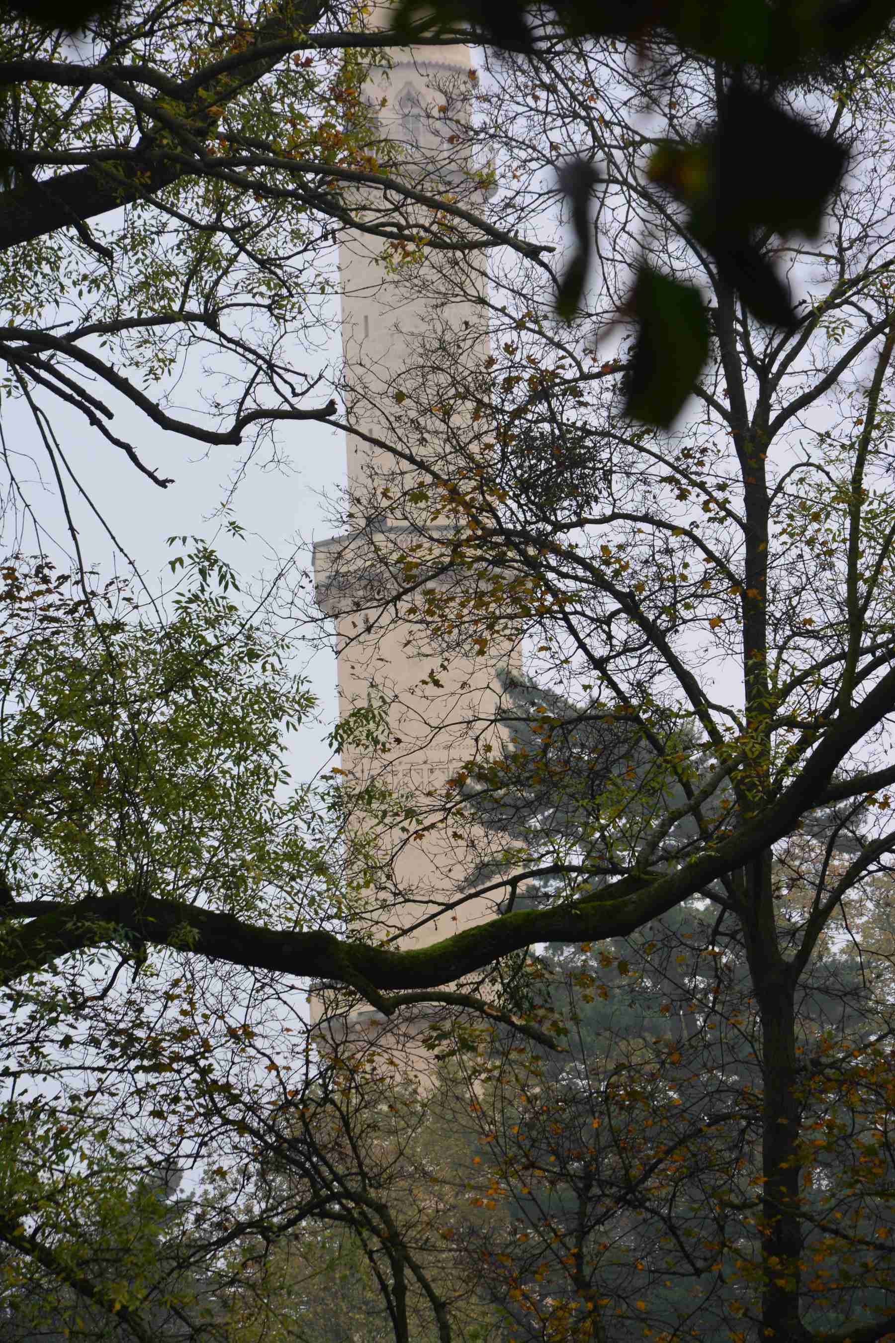 DSC_1586