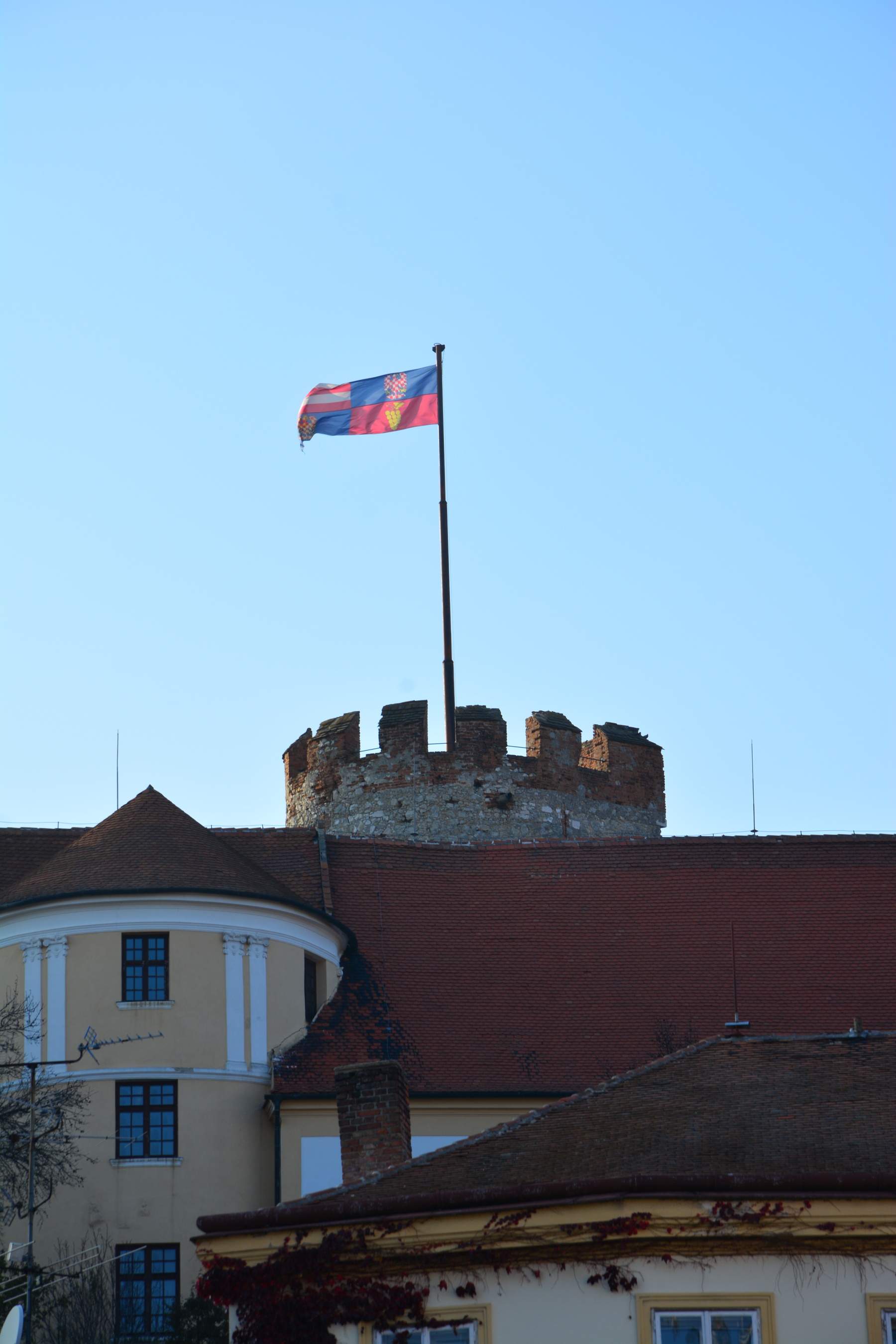 DSC_1438