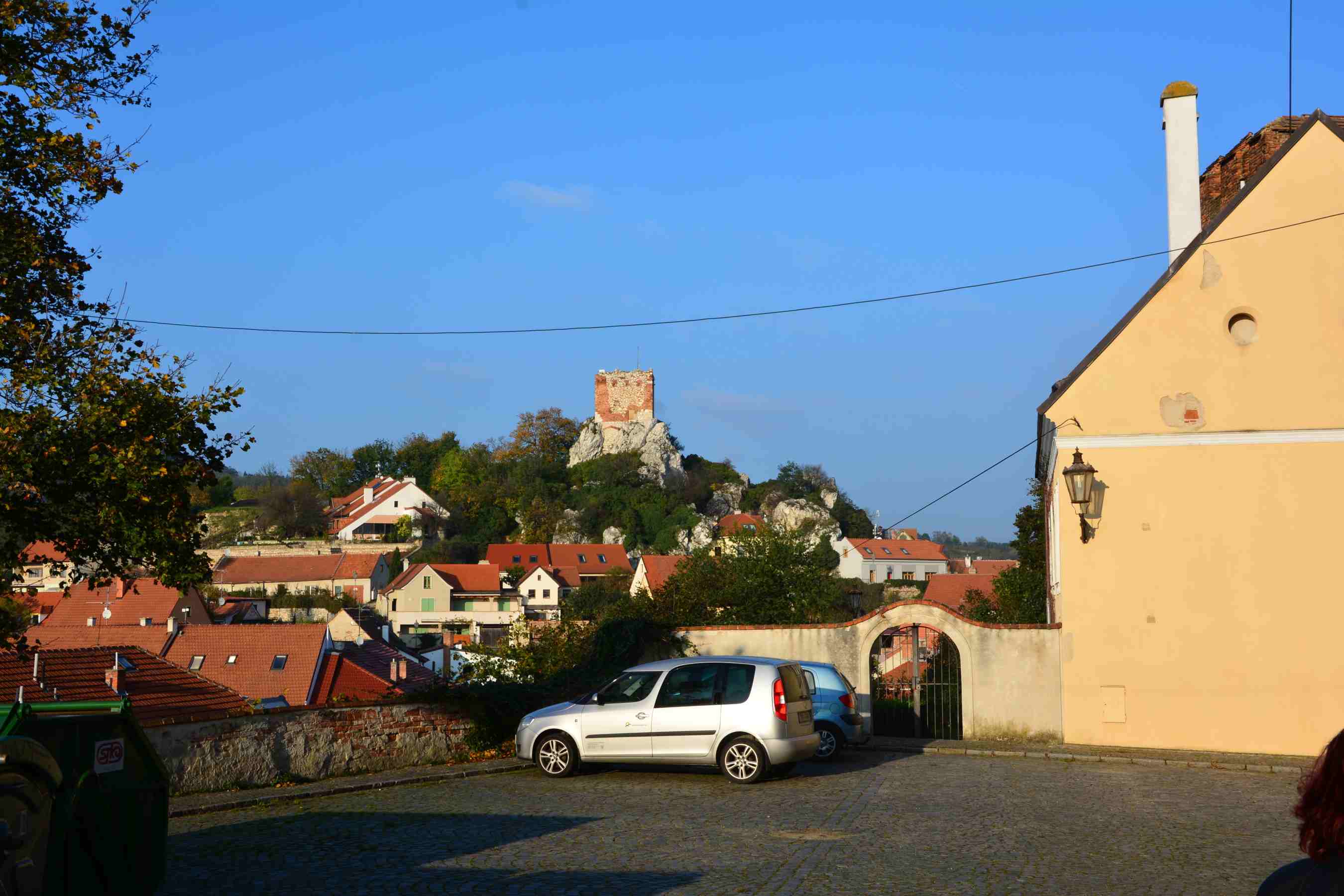 DSC_1480