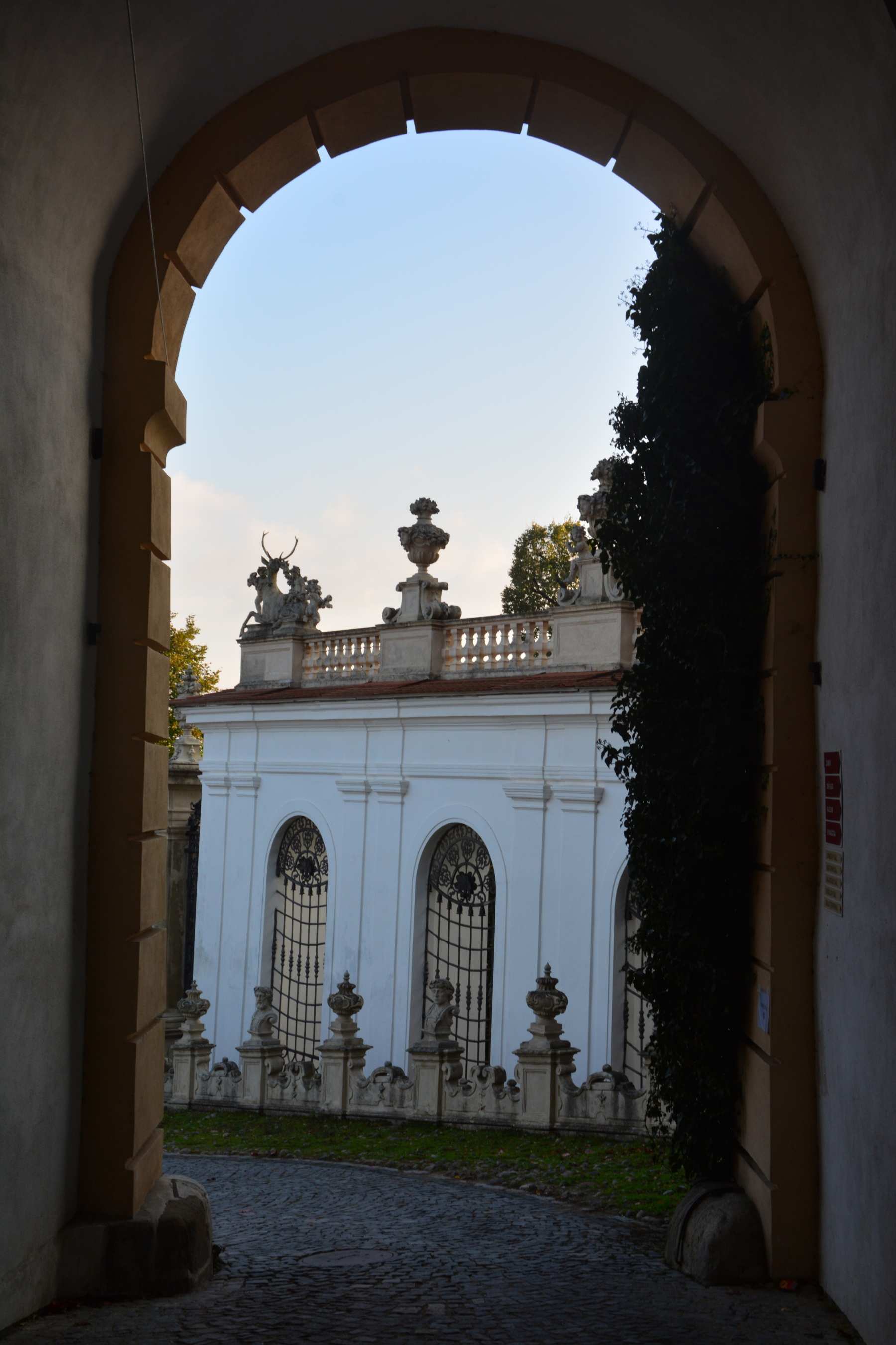 DSC_1482