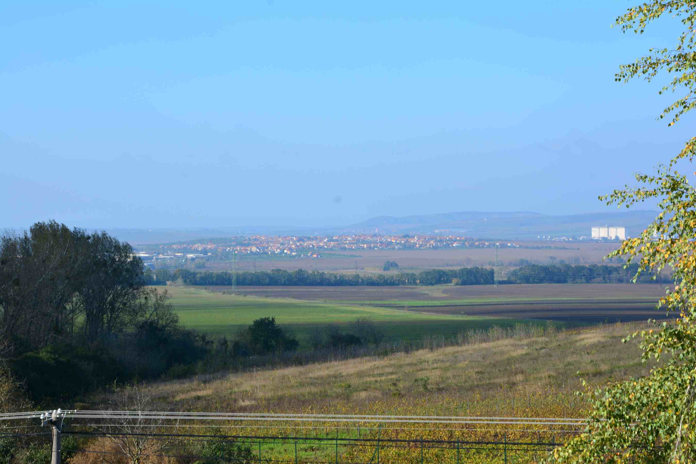 DSC_1334