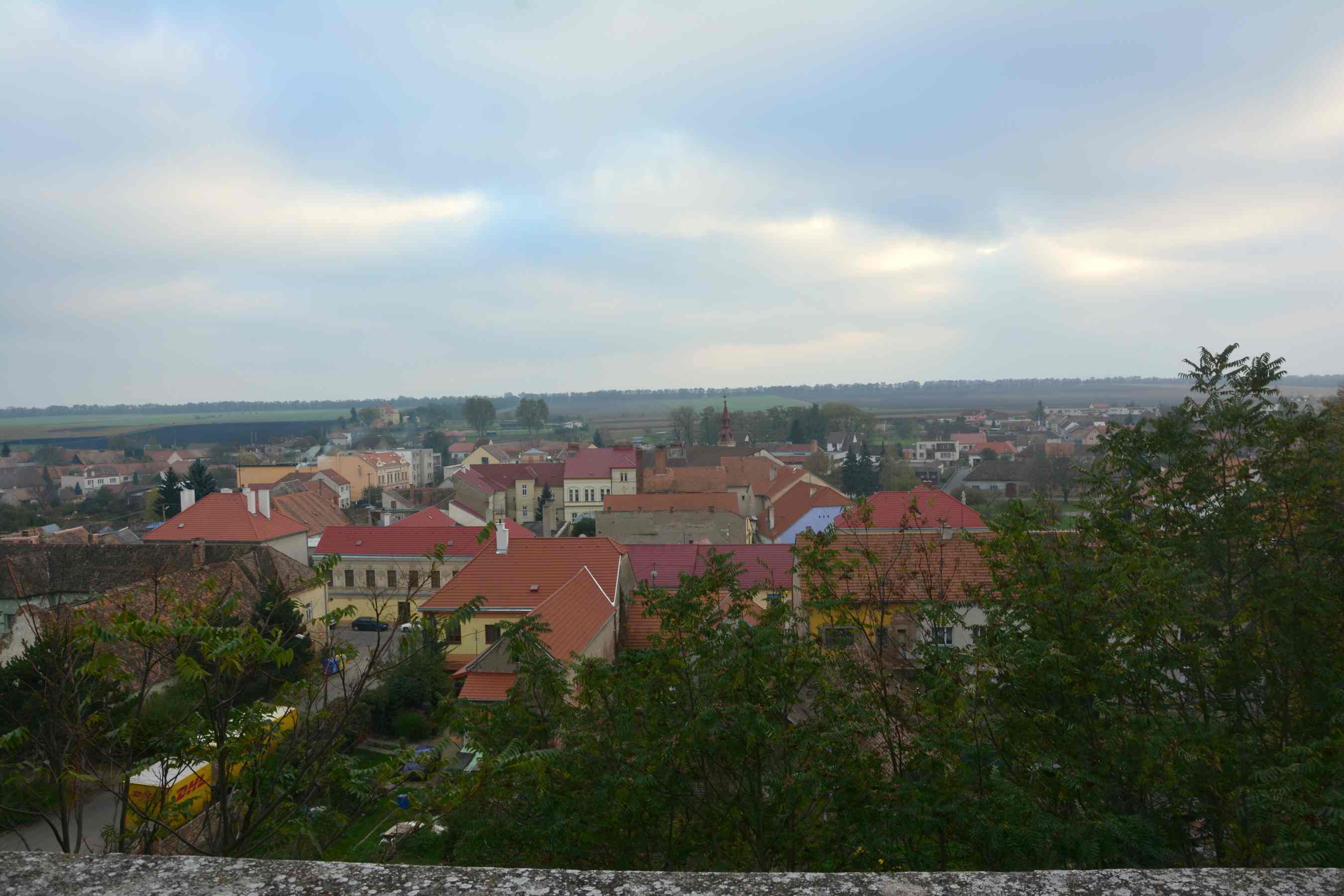DSC_2064