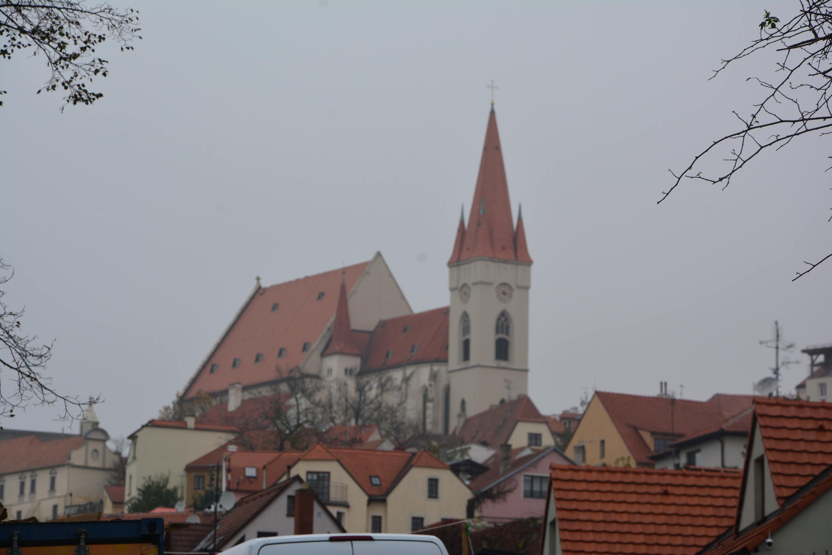 DSC_1919
