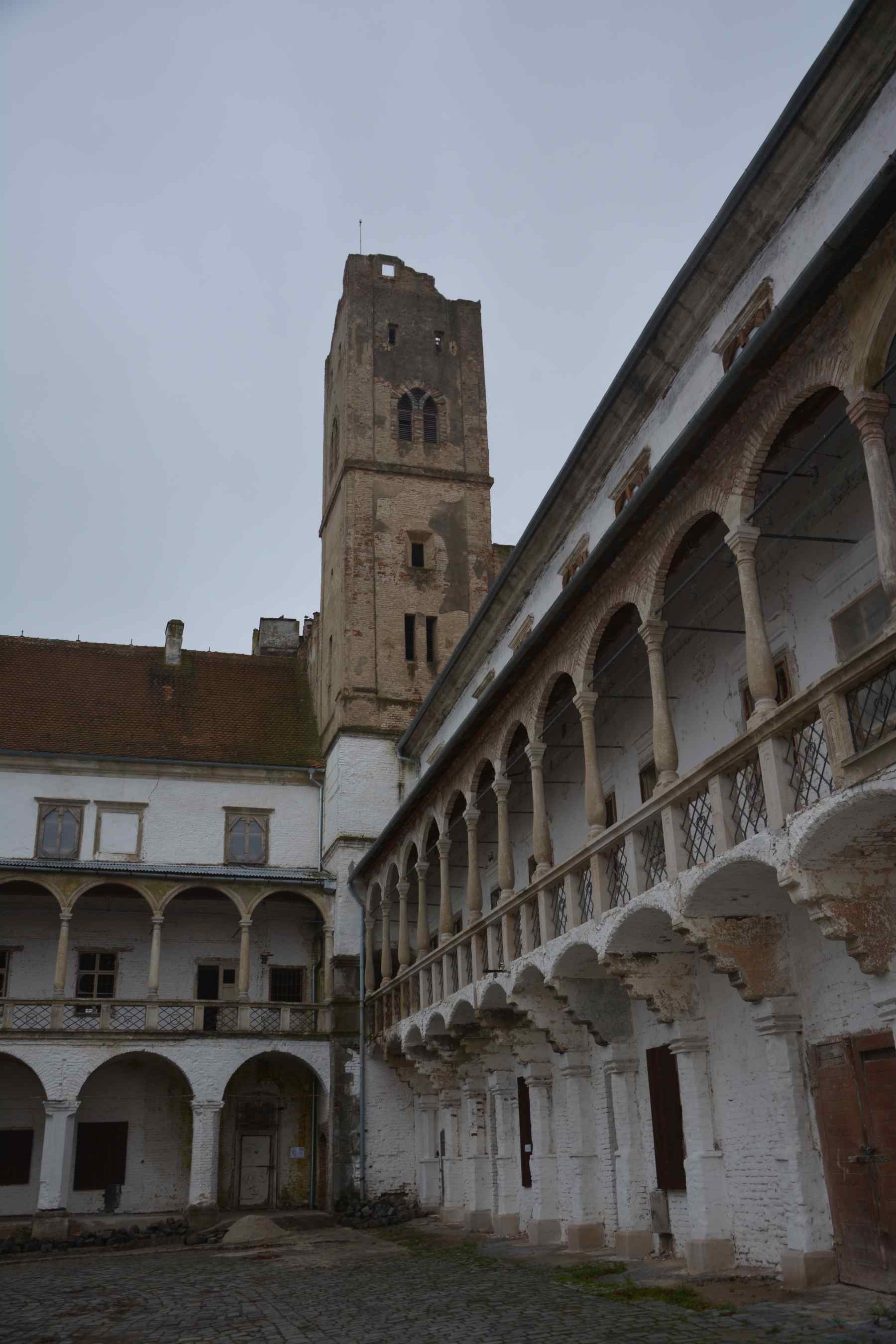 DSC_1676