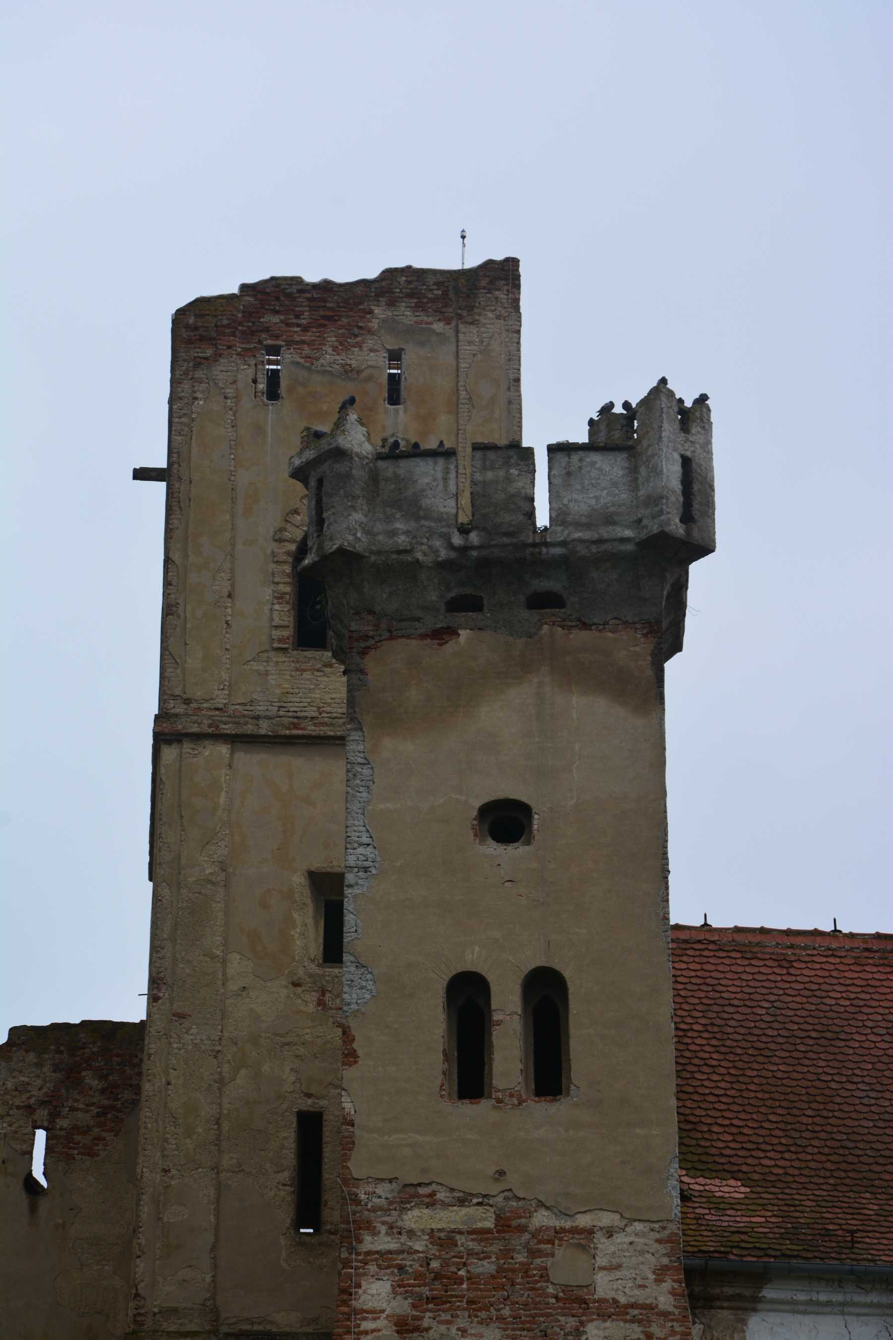 DSC_1683