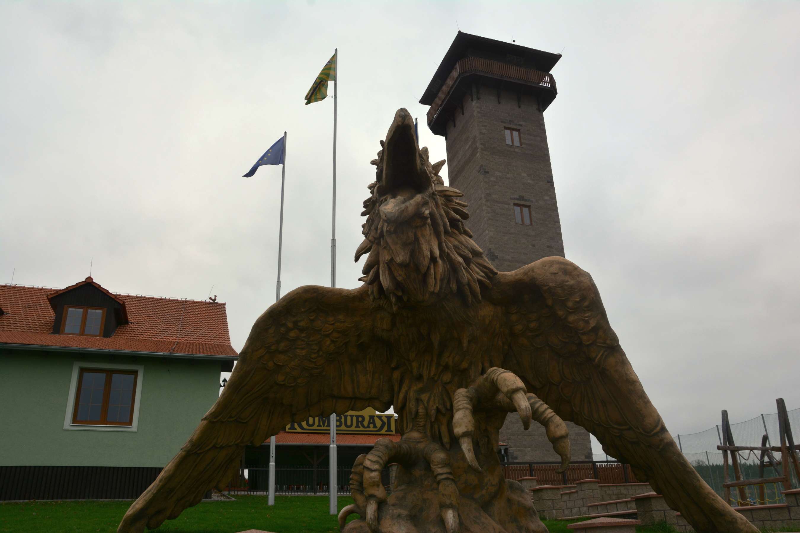 DSC_1884