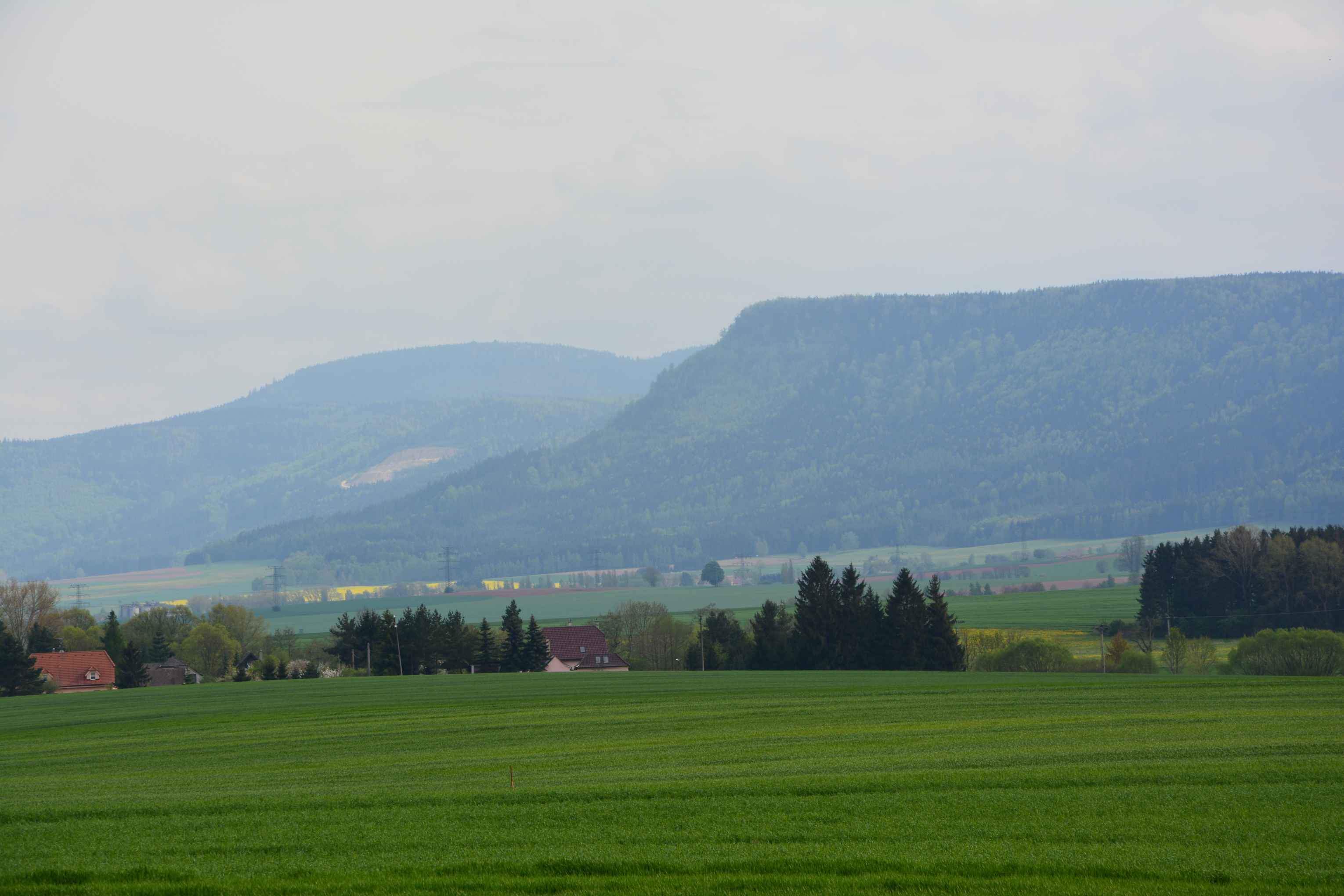 DSC_2425
