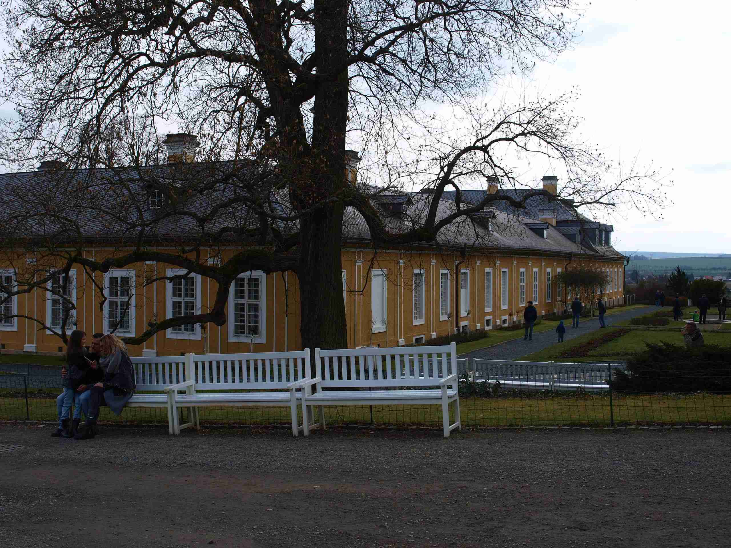 P1012239