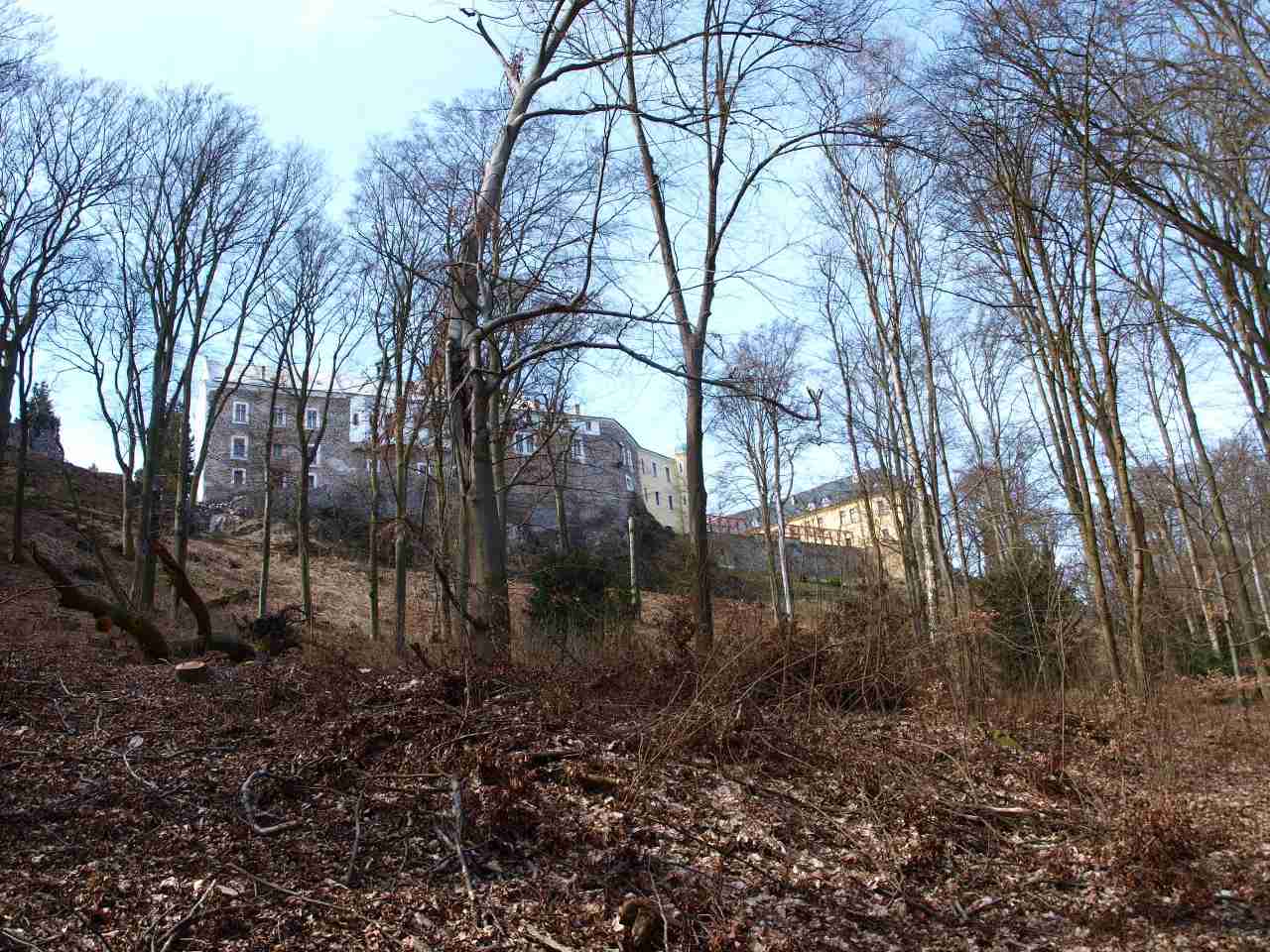 P1012273