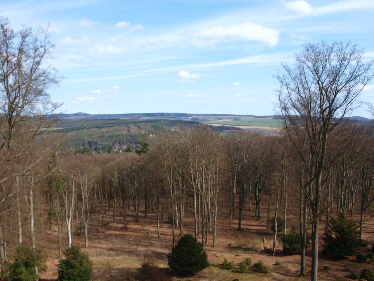 P1012294