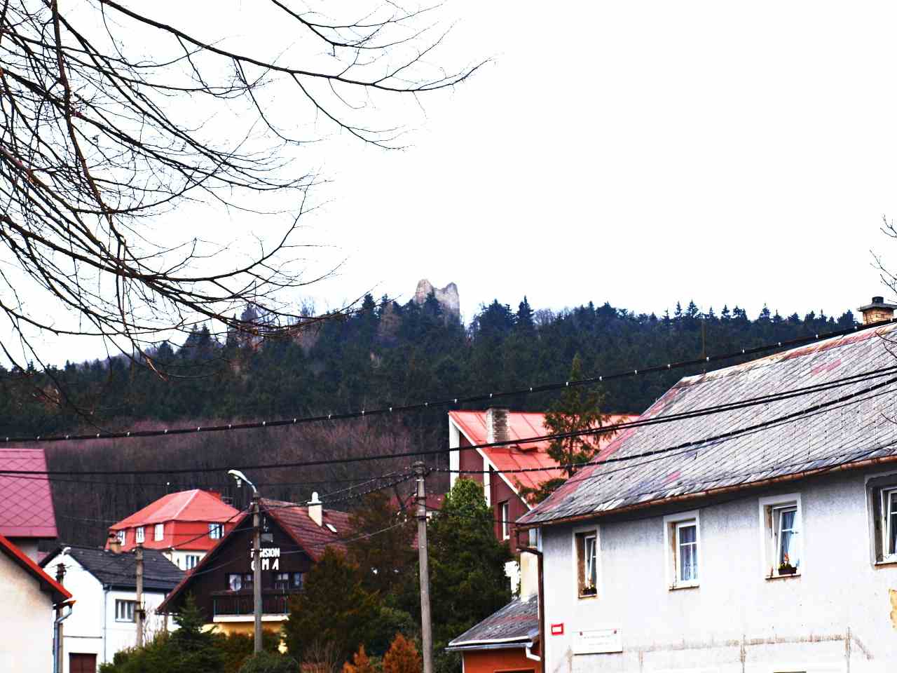 P1012173