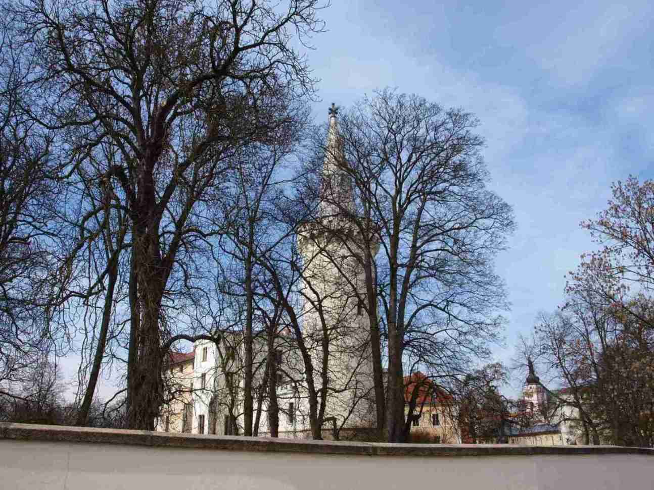 P1012203
