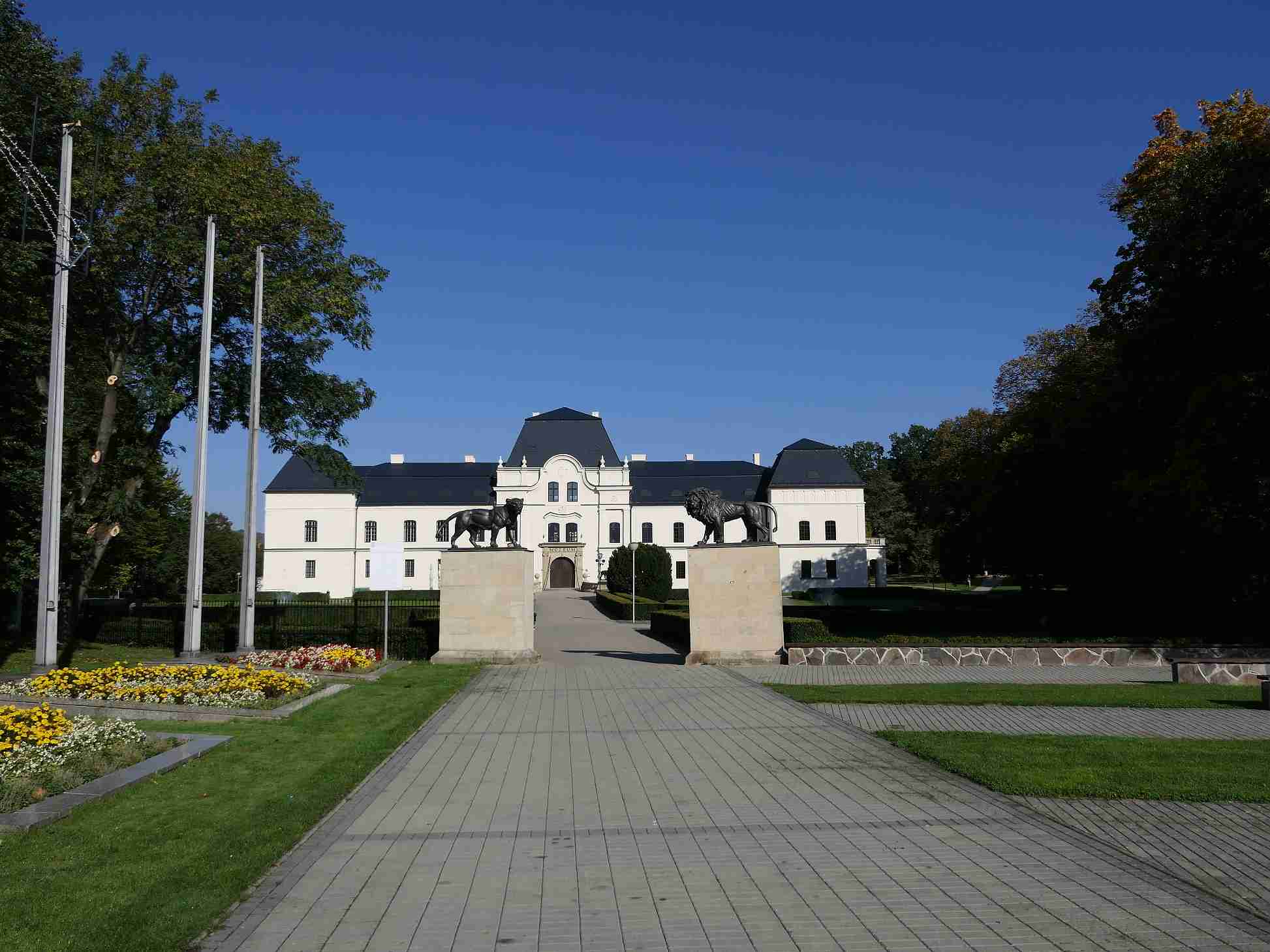 P1000643