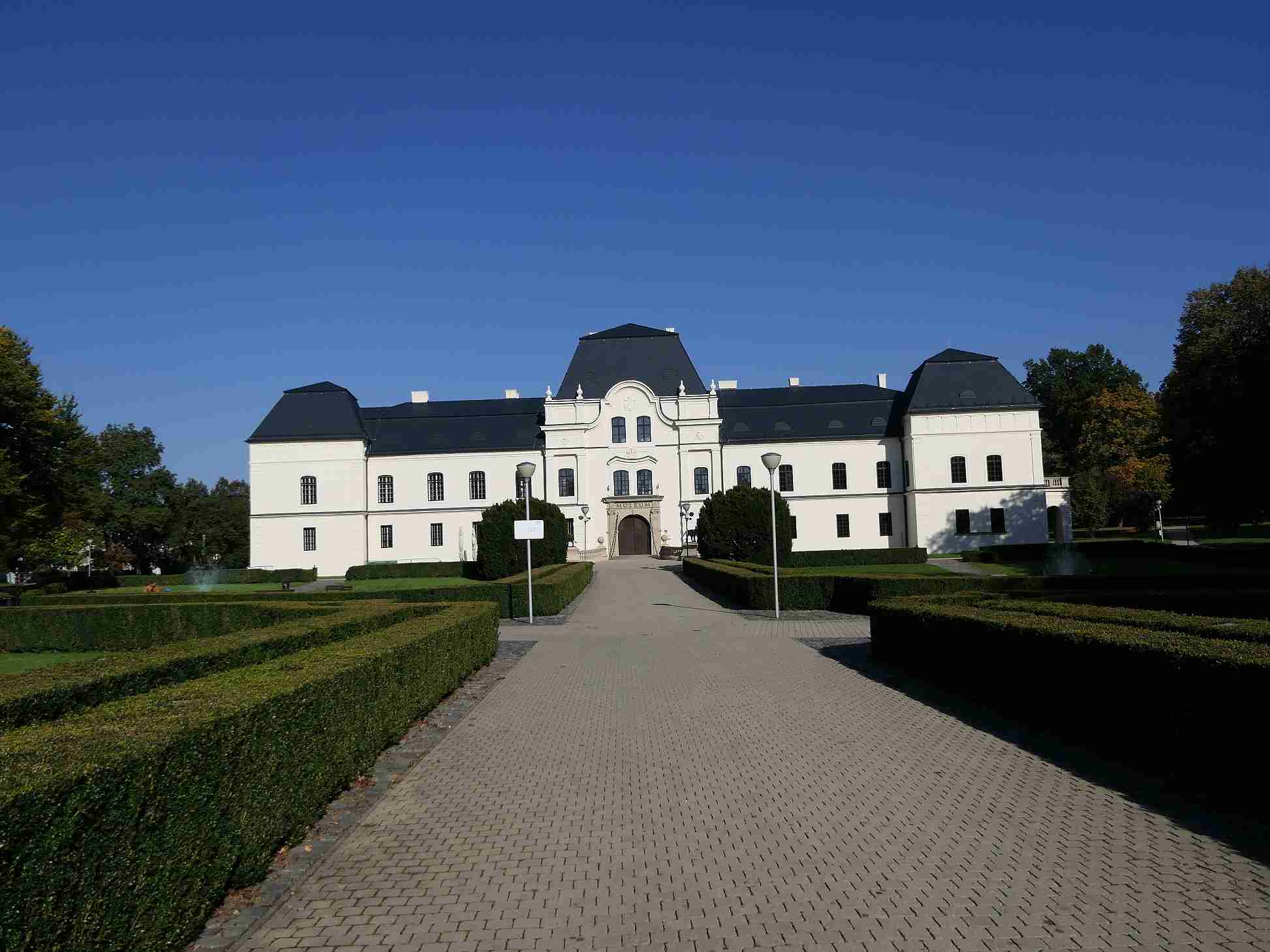 P1000645