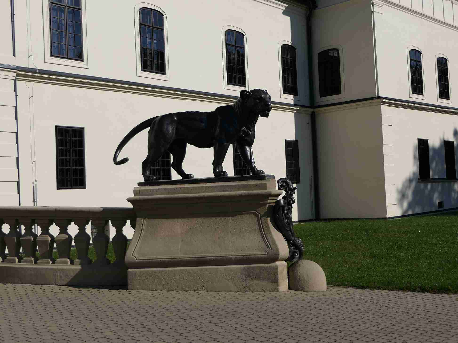 P1000649