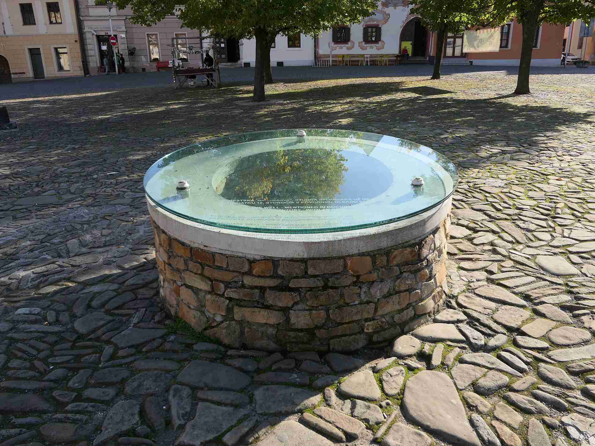 P1000502
