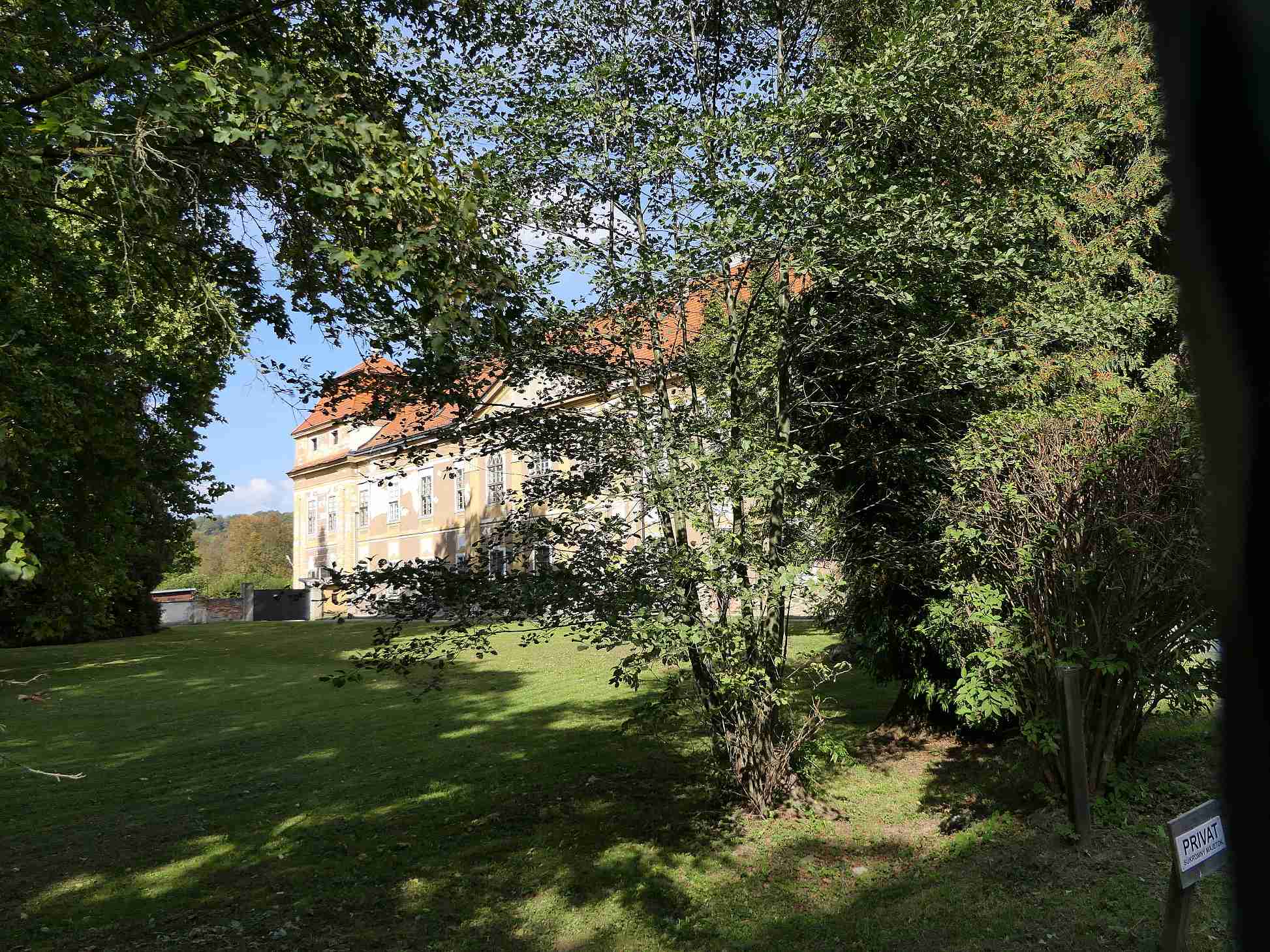 P1000583