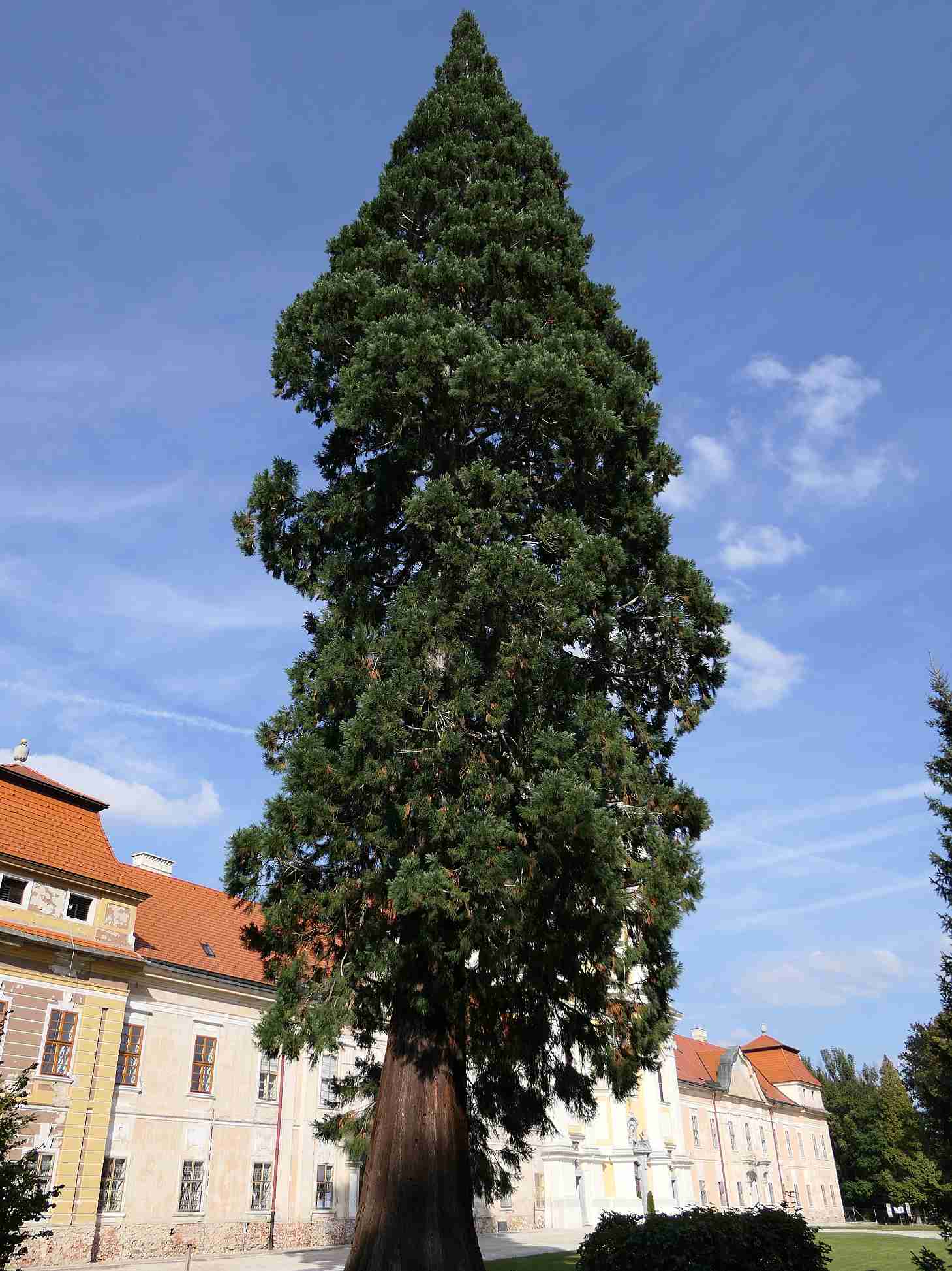 P1000585